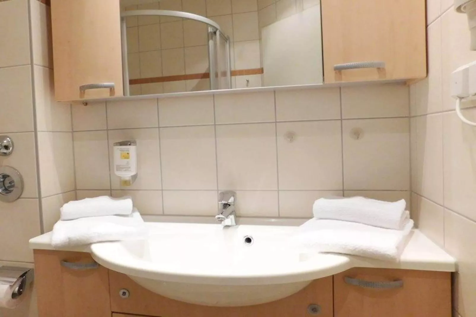 Schneeeule 223-Bathroom