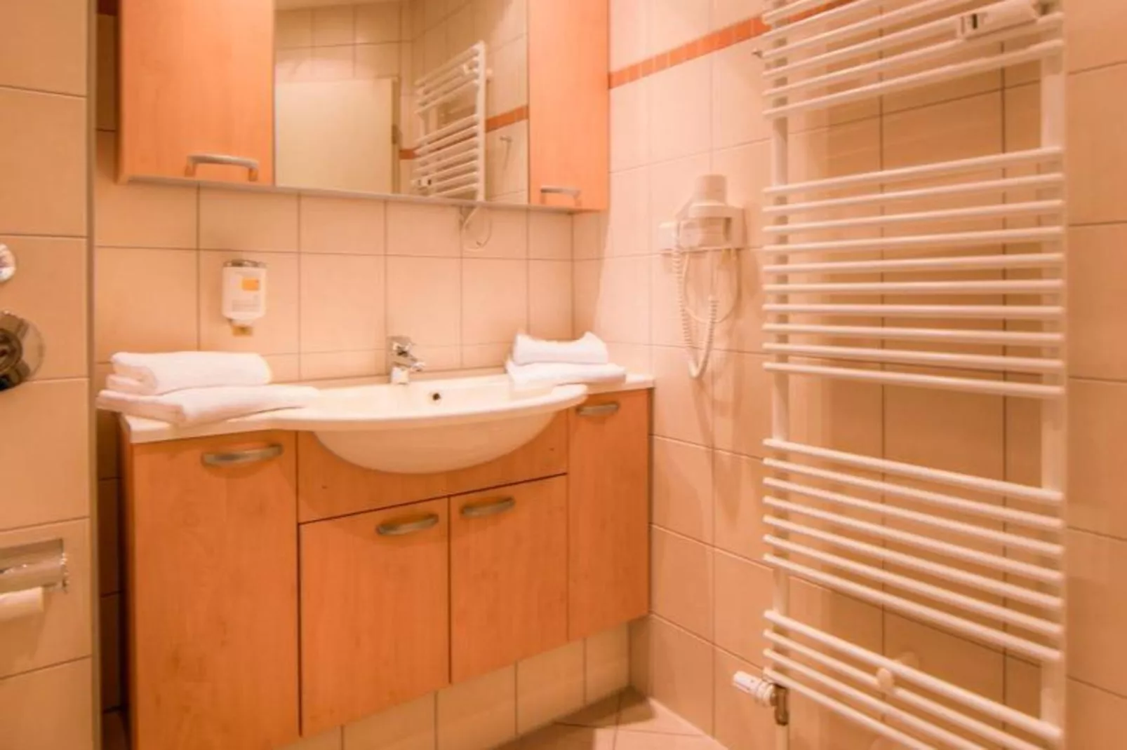Schneeeule 221-Bathroom