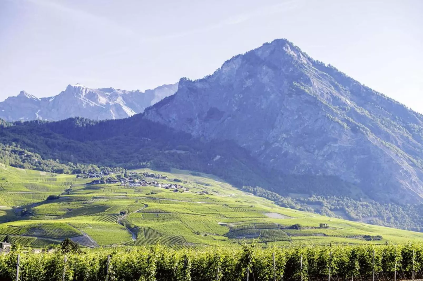 Paradis Perdu SKI IN & QUIET chalet 14 personnes-Areas within 20km in summer