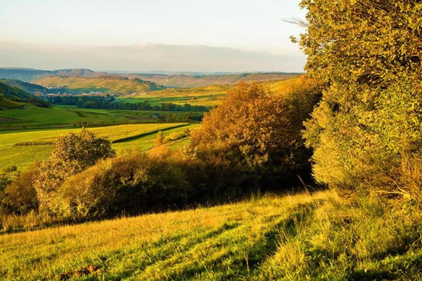 Ferienhaus der Saison an der Mosel-Gebiete Sommer 20 km