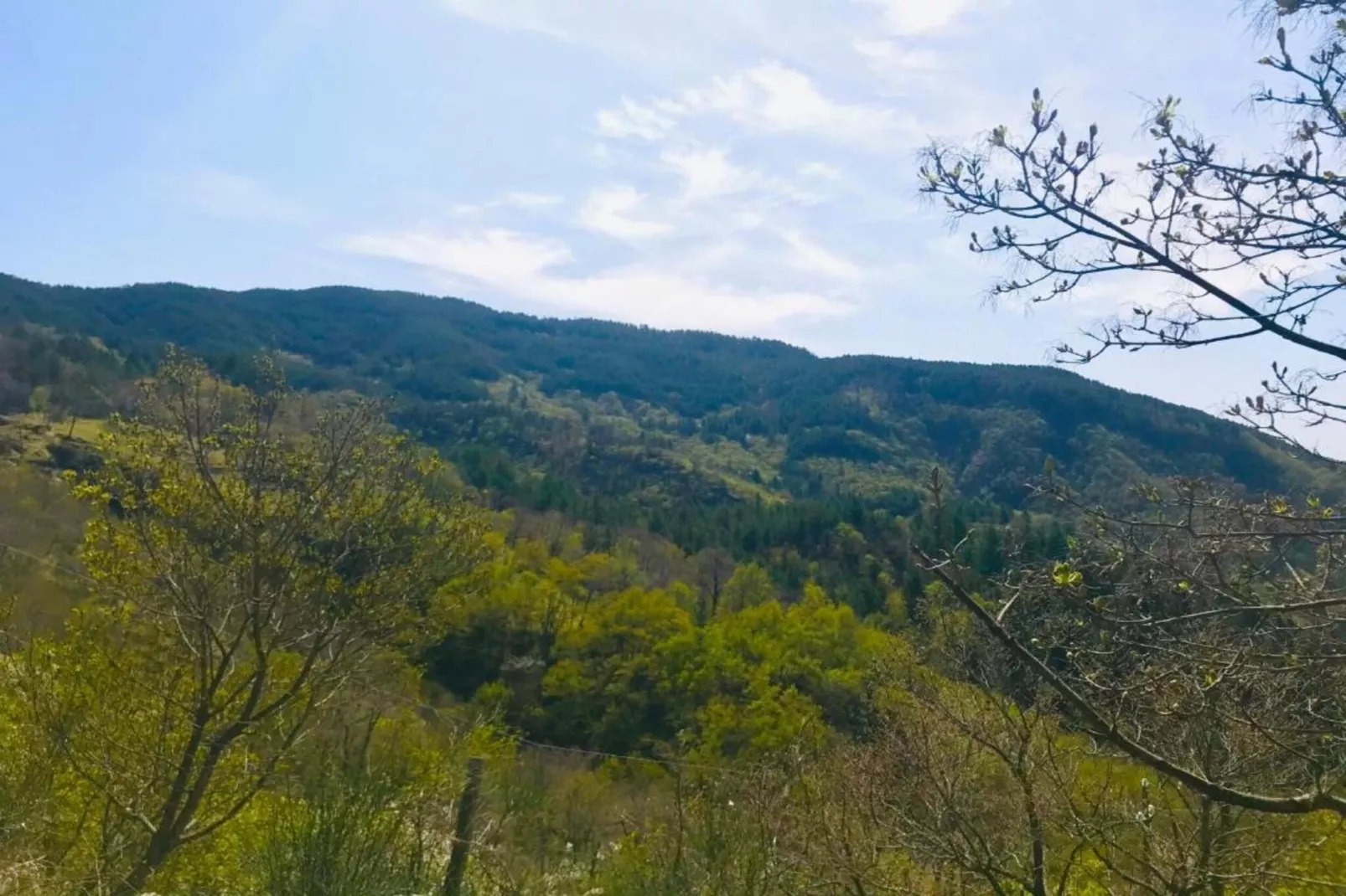L'Acero-Areas within 20km in summer