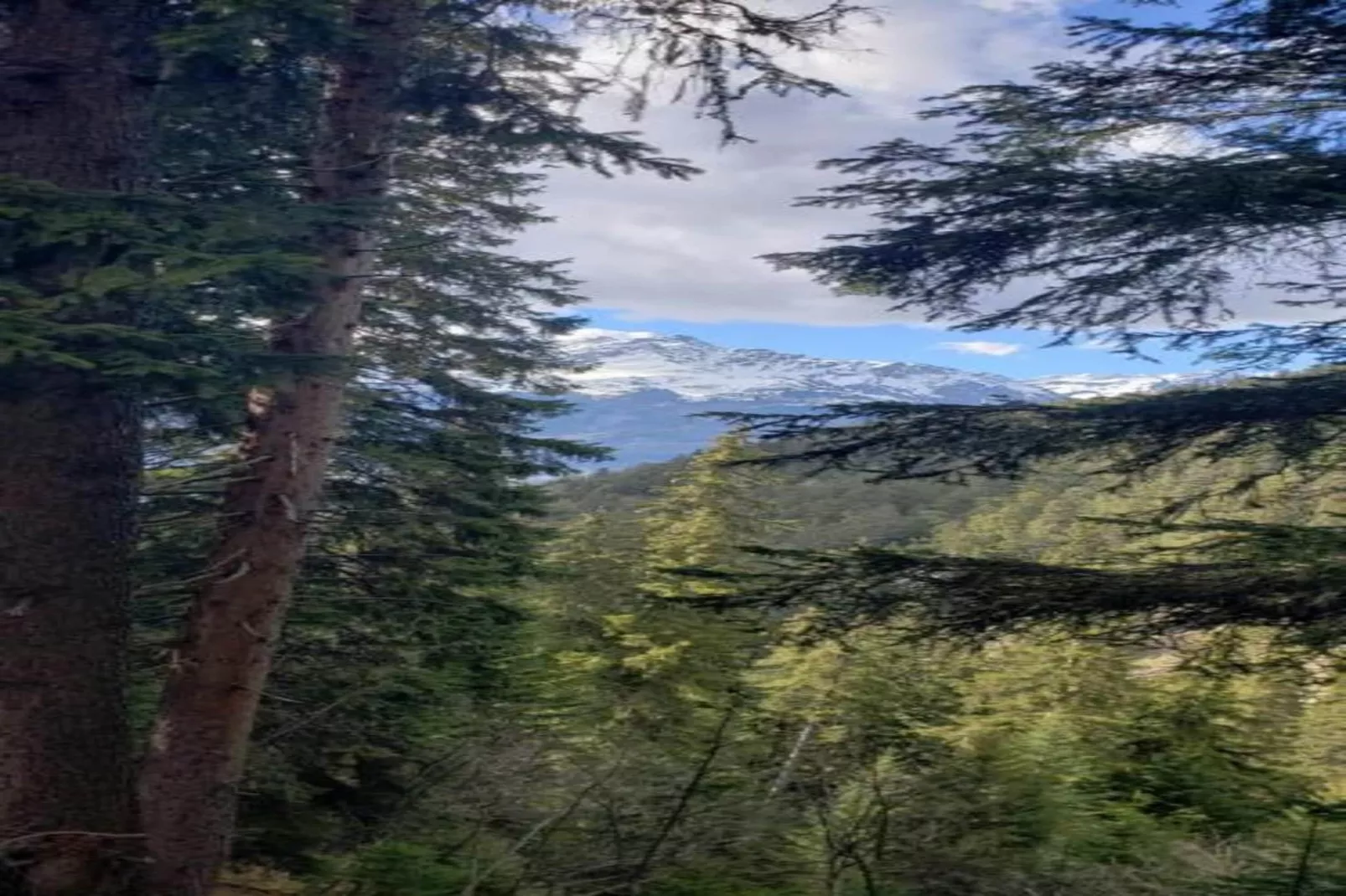 LA TURRA N°301 - 3P6-Areas within 20km in summer