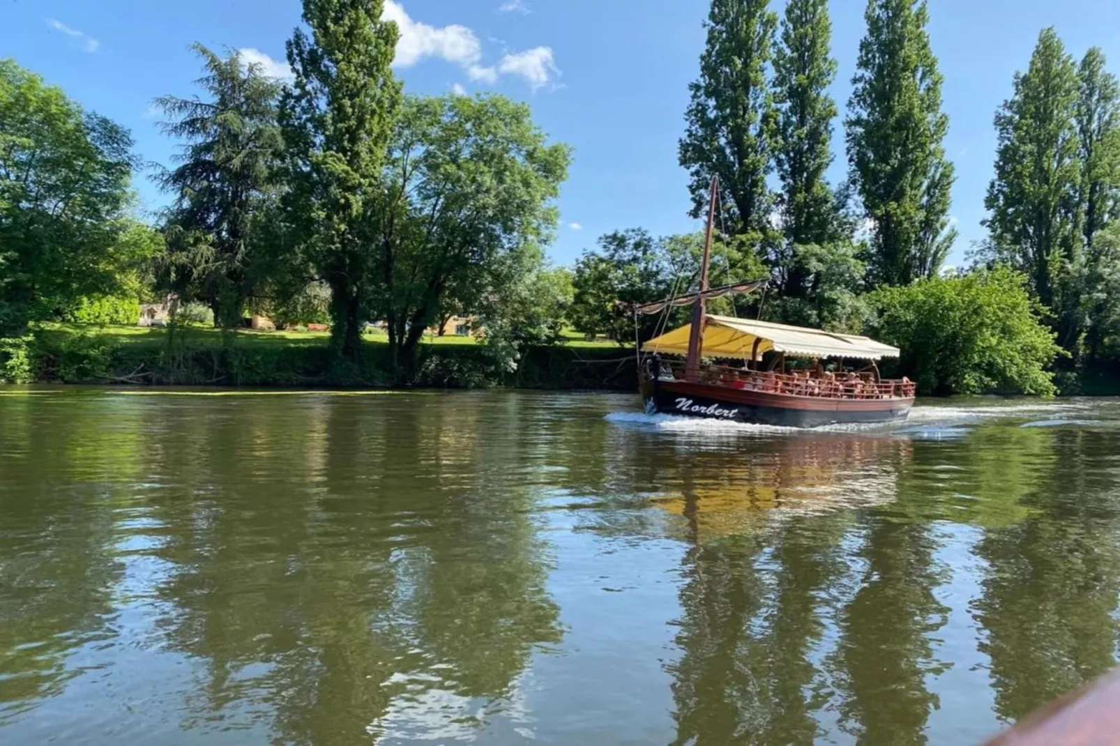 Demie-Areas within 5km in summer