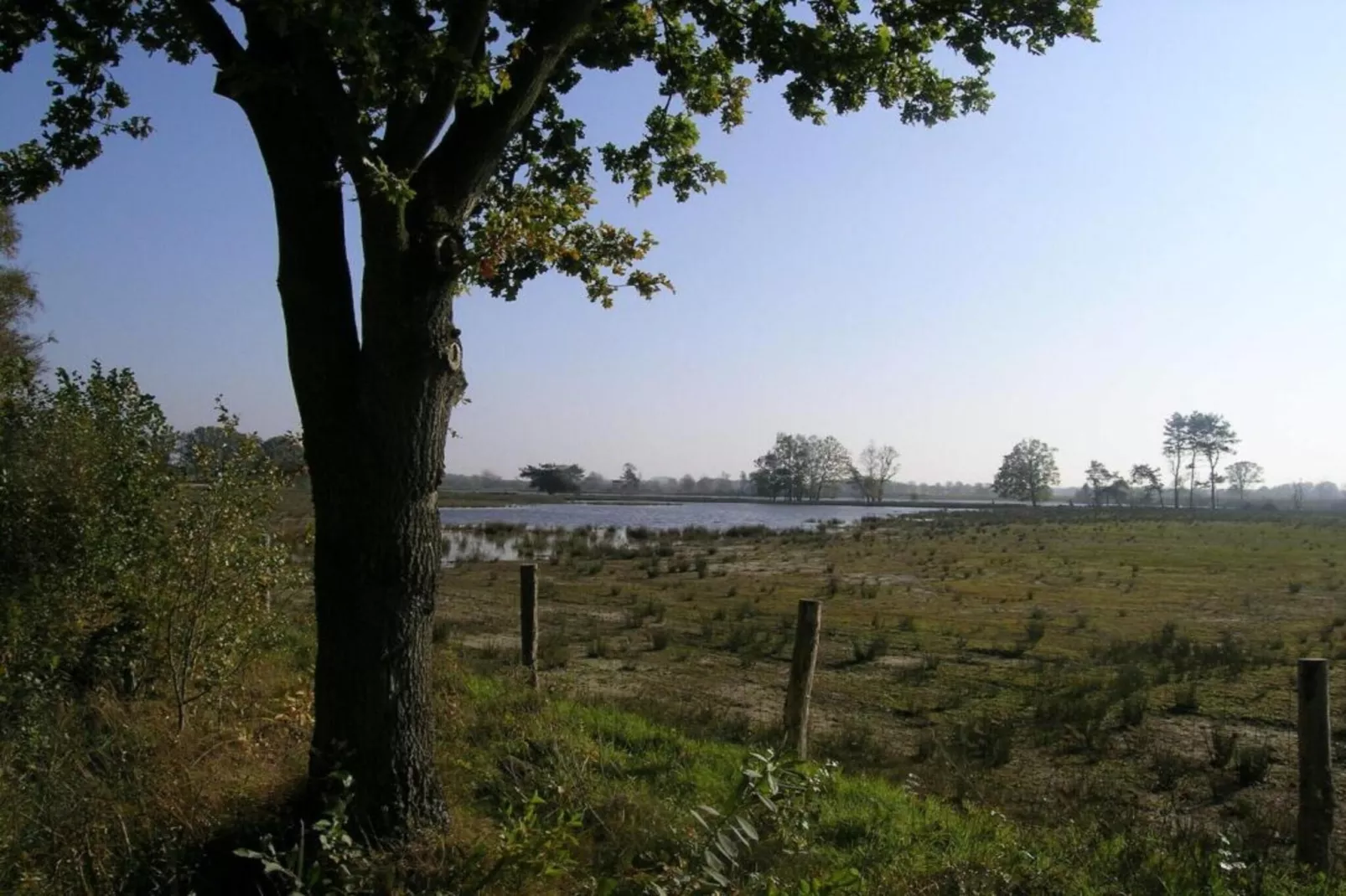 O’Hara-Areas within 20km in summer