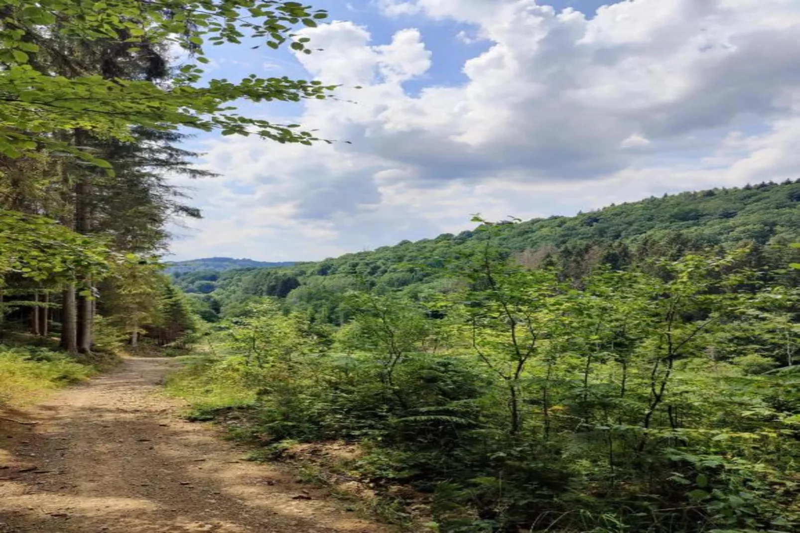 Dreamer-Areas within 5km in summer