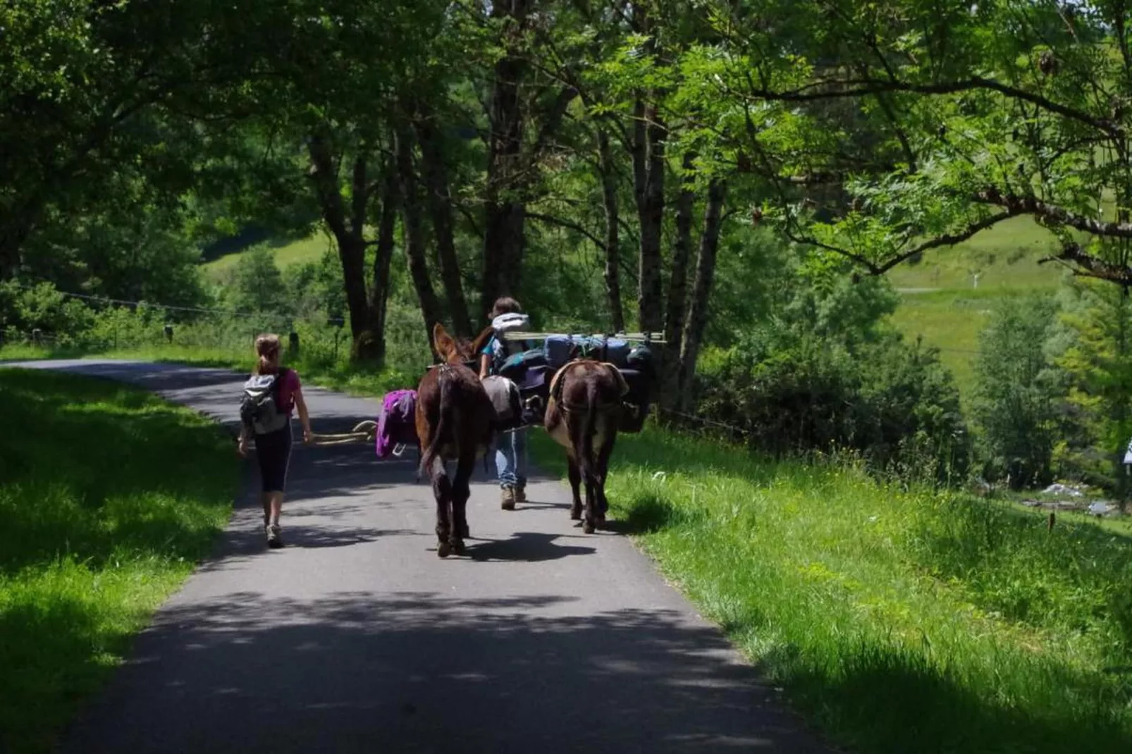 Stardust 40 Family Lodge-Gebiete Sommer 20 km