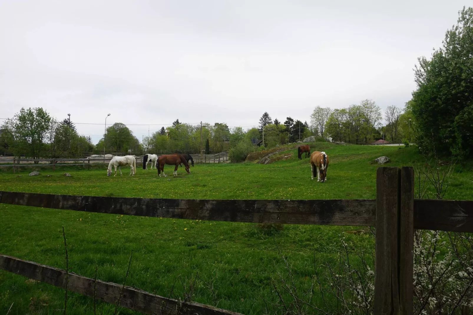 7 person holiday home in Djursholm-By Traum-Not tagged