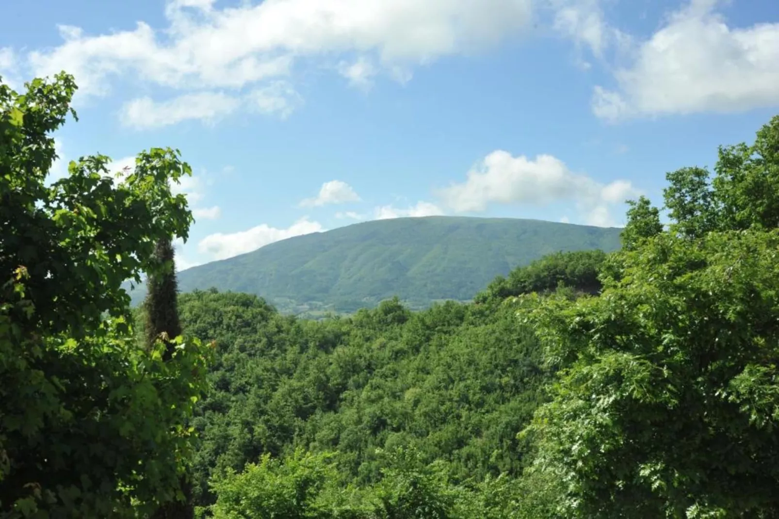 Villa Paradiso 25 persone-Areas within 20km in summer