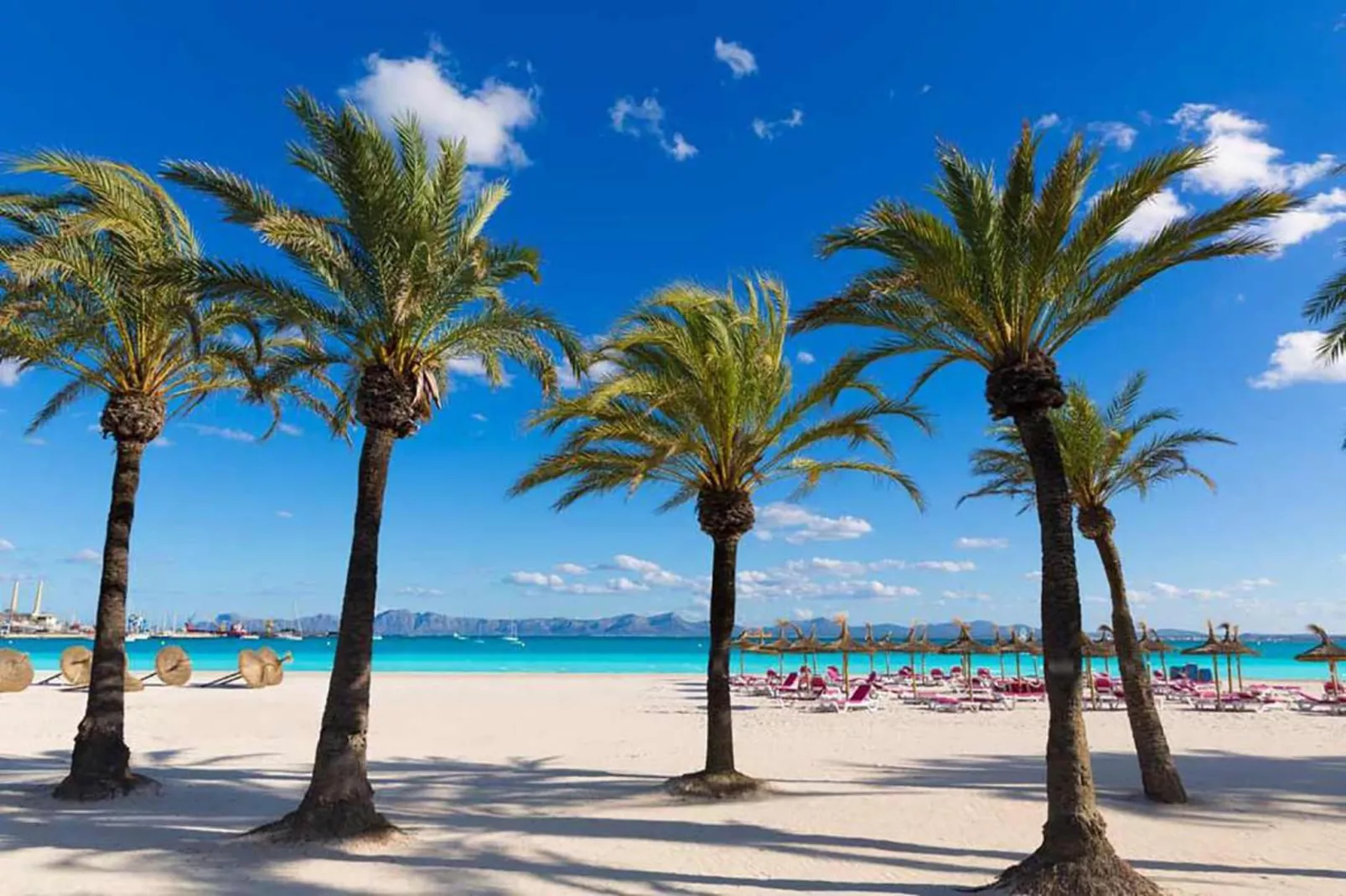 Blue Palm Beach-Zones d'été à 20 km