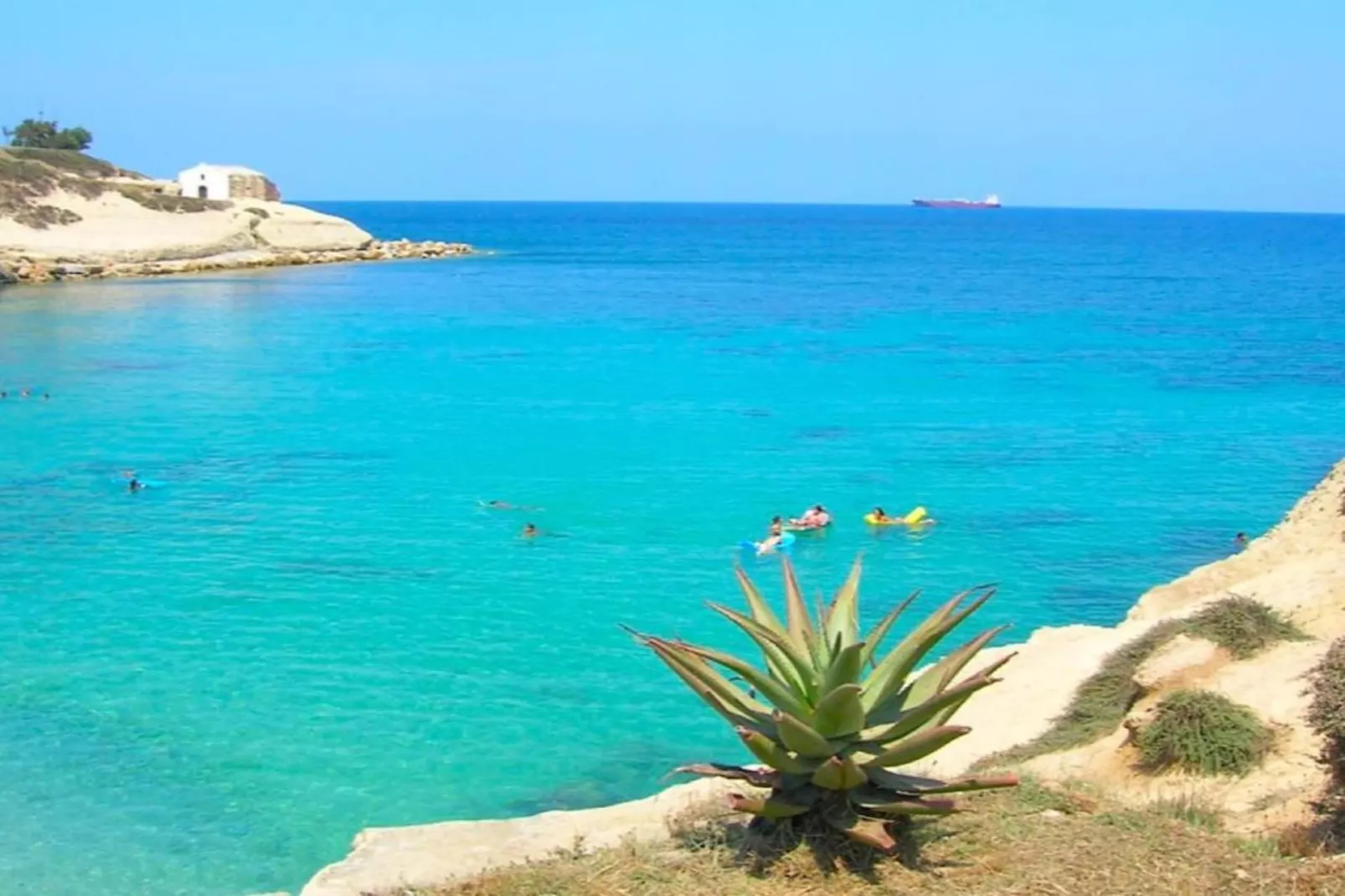 IL DELFINO-Areas within 20km in summer