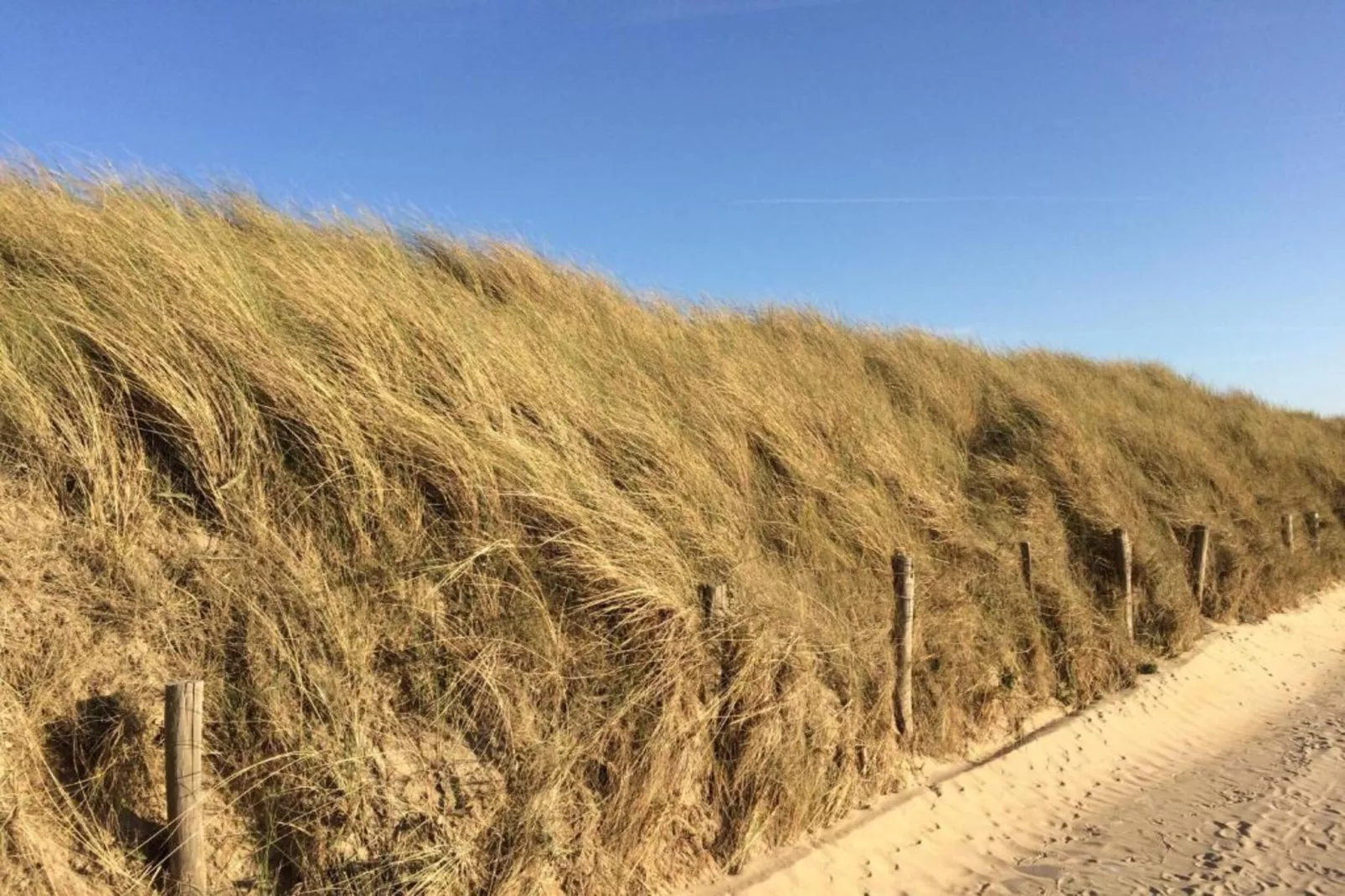RESIDENTIE ANDREWS 0401-Gebiete Sommer 20 km
