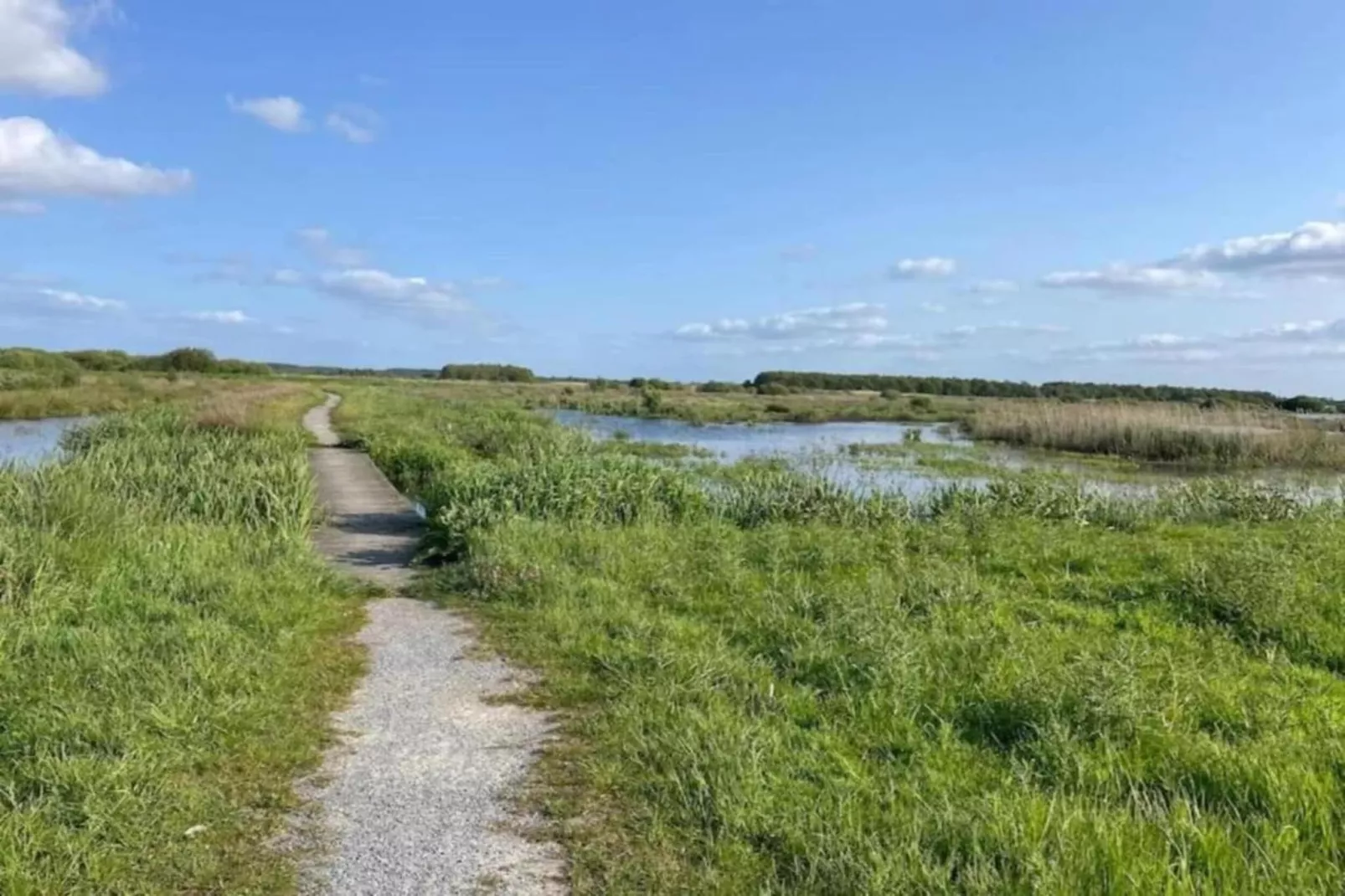Docklodge 42-Areas within 5km in summer