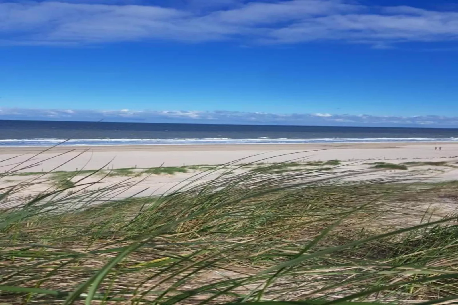 Beach 15-20-Areas within 5km in summer
