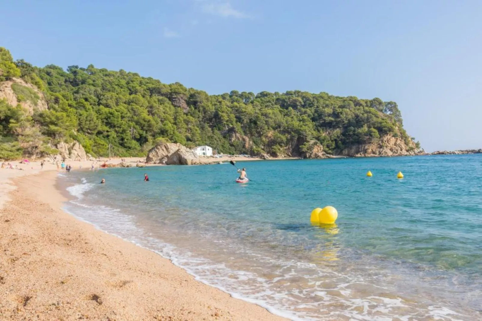 Kistars-Areas within 5km in summer