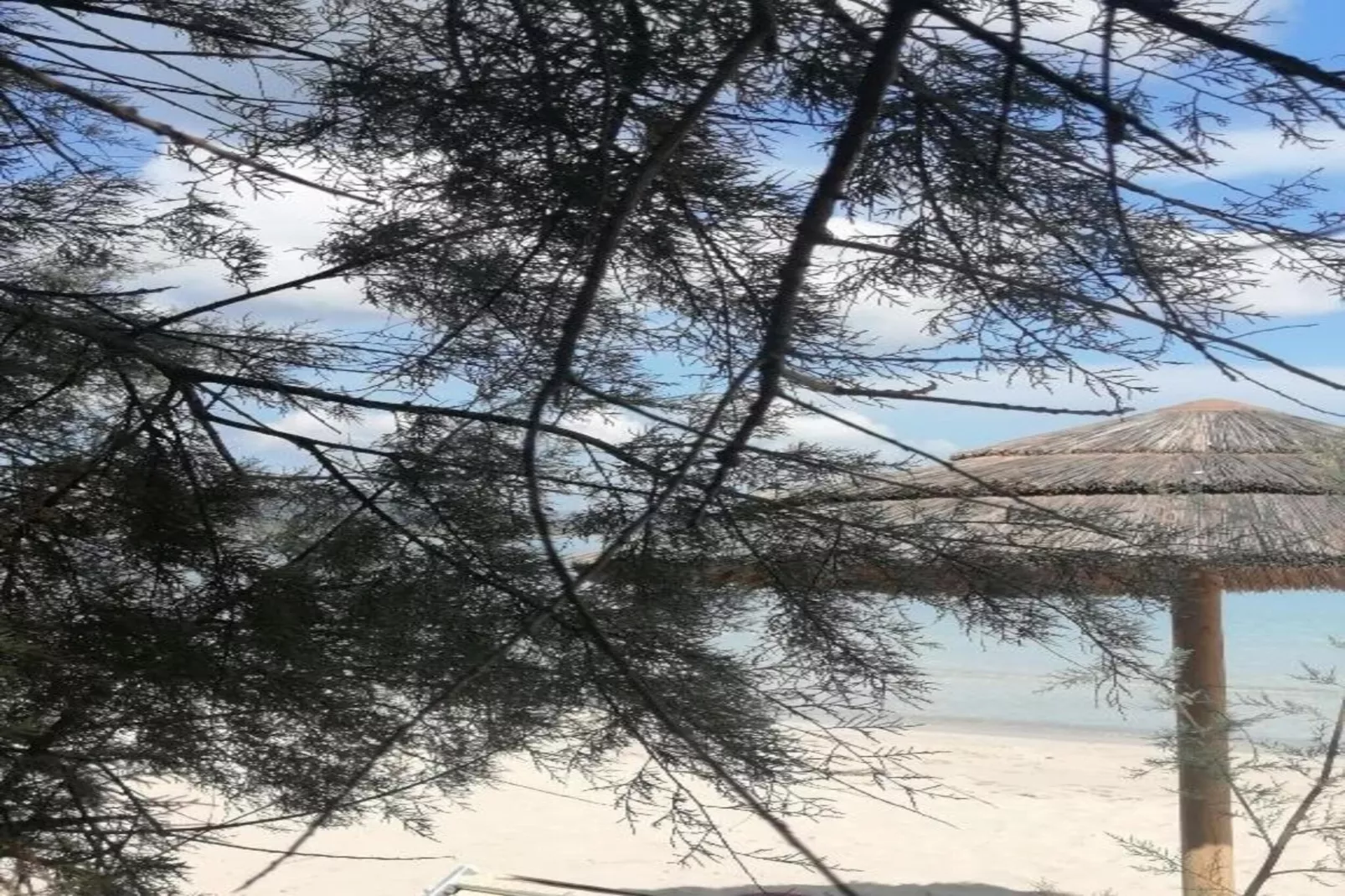 Bilo Candido-Areas within 20km in summer