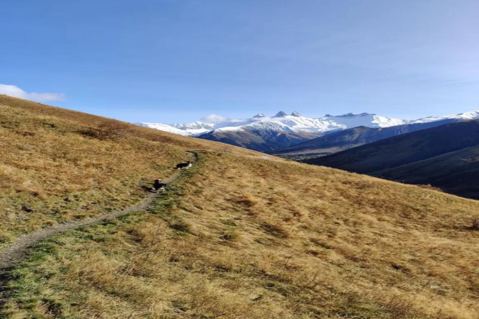 Les Grizzlis N°23 - 2P6 PMR-Areas within 5km in summer