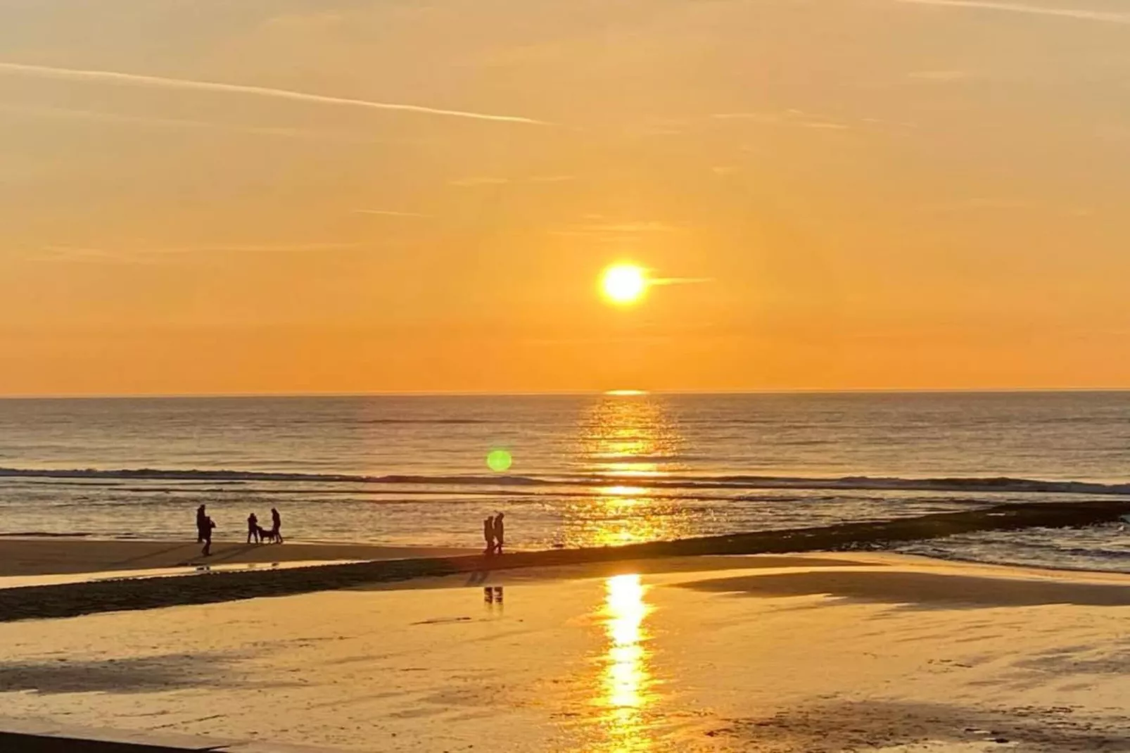 Wildrijk 141-Gebiete Sommer 5 km