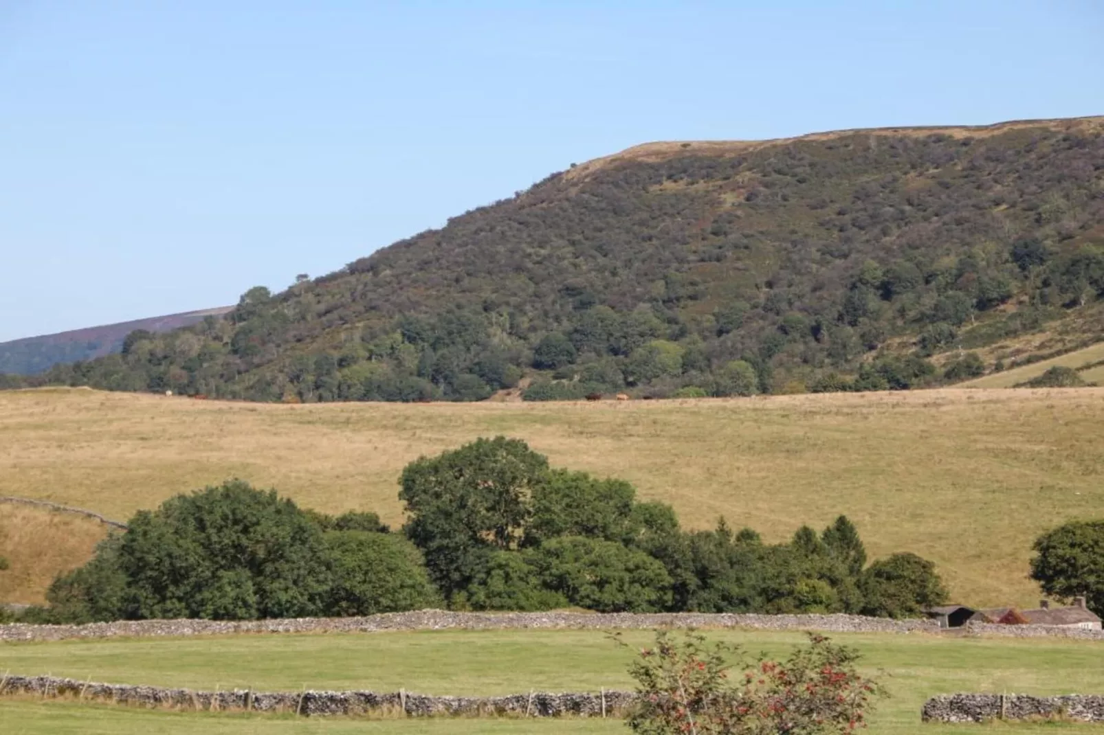 Westcote Cottage-Areas within 5km in summer