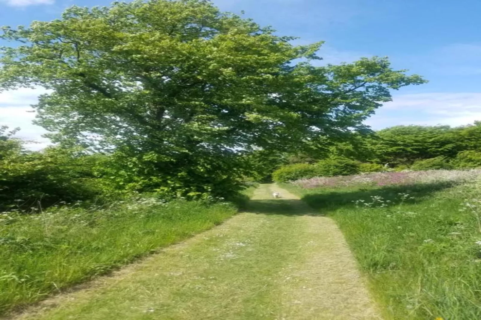 Longwool View-Gebiete Sommer 20 km