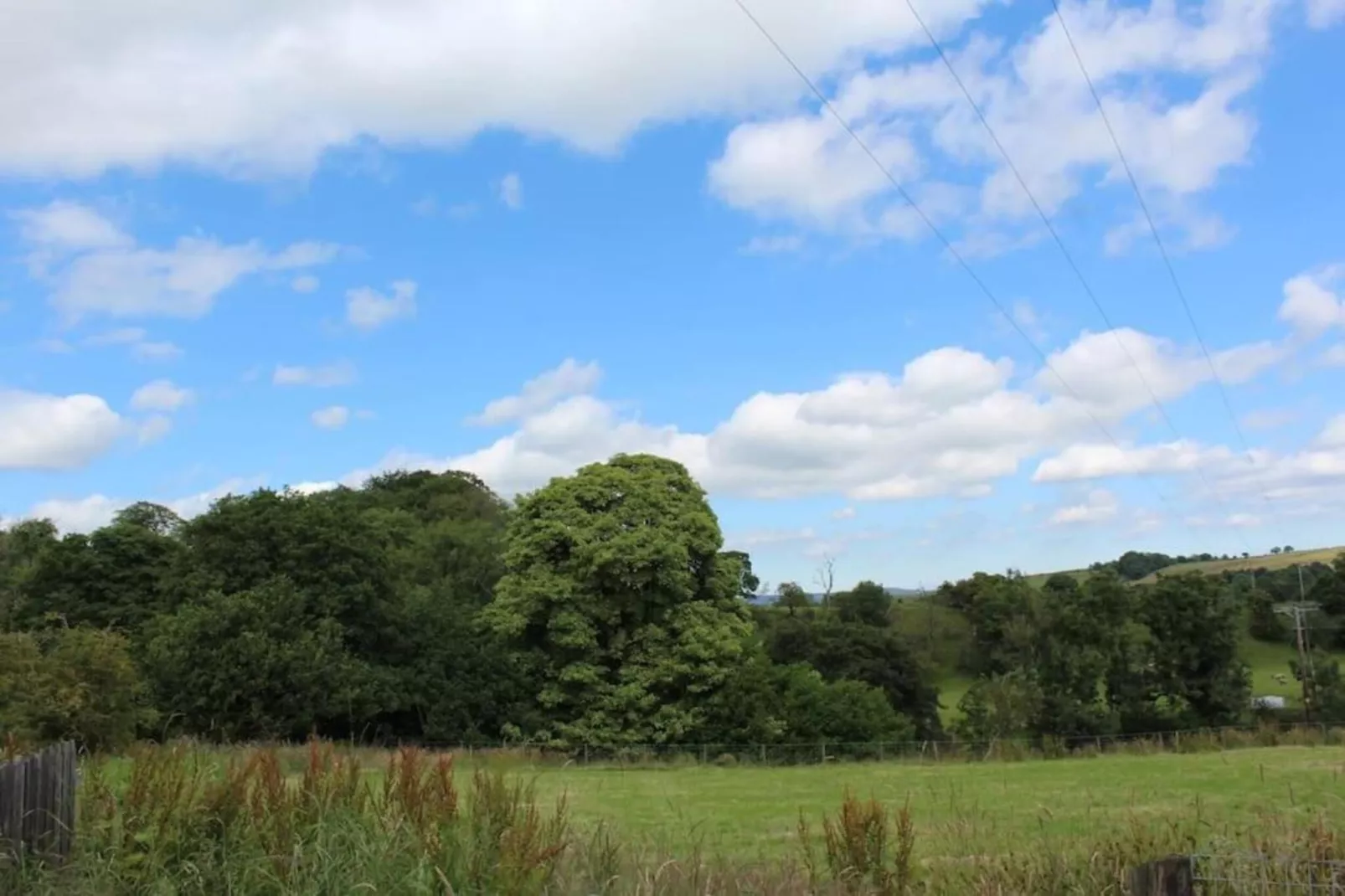 The Nest-Areas within 20km in summer