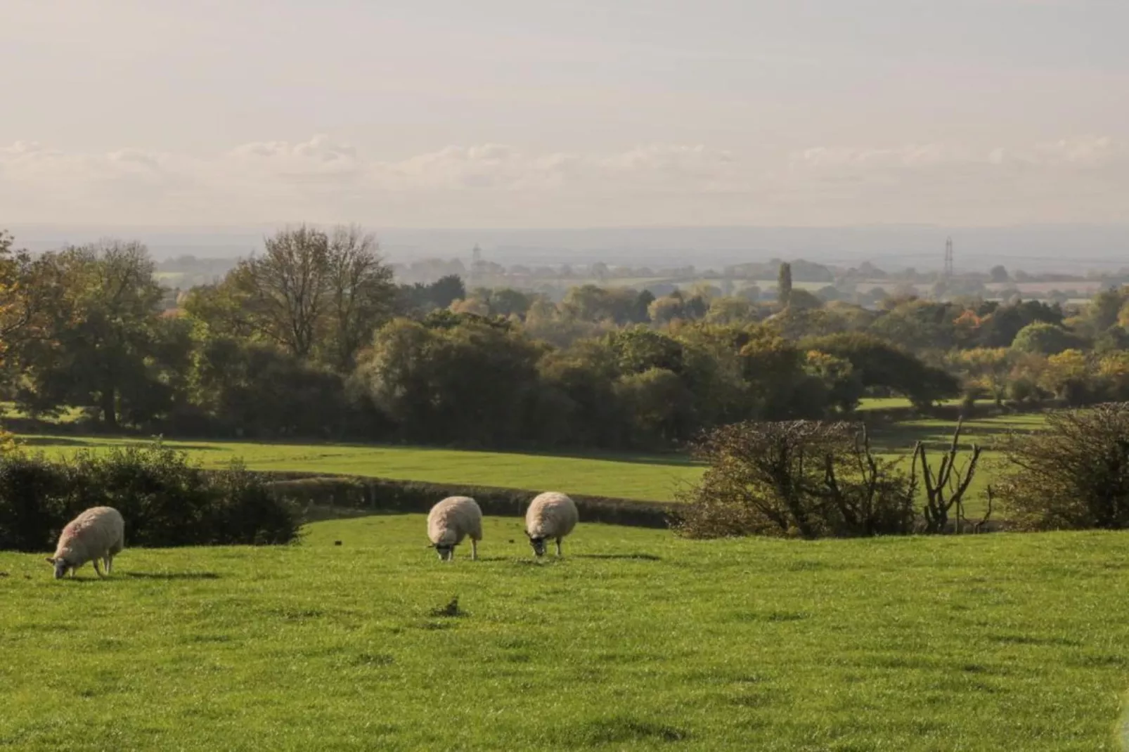 Ryedale Hall Cottage-Zones été à 5 km