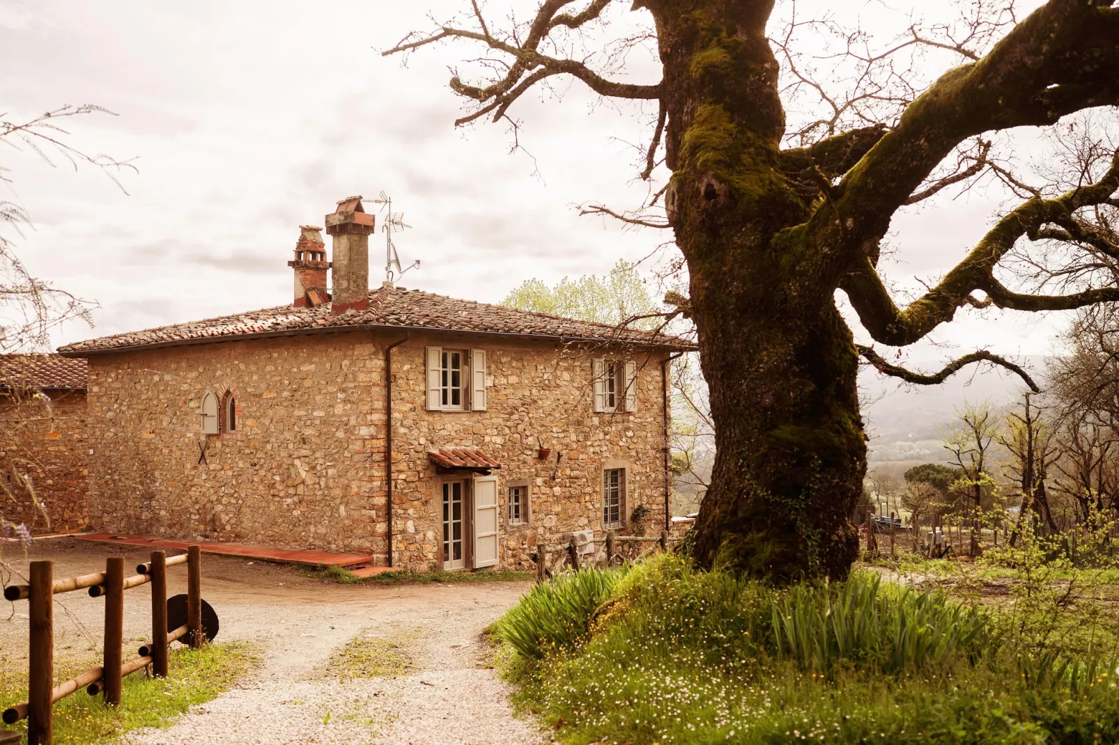 Agriturismo Tenuta Seriole-Außenbereich Sommer