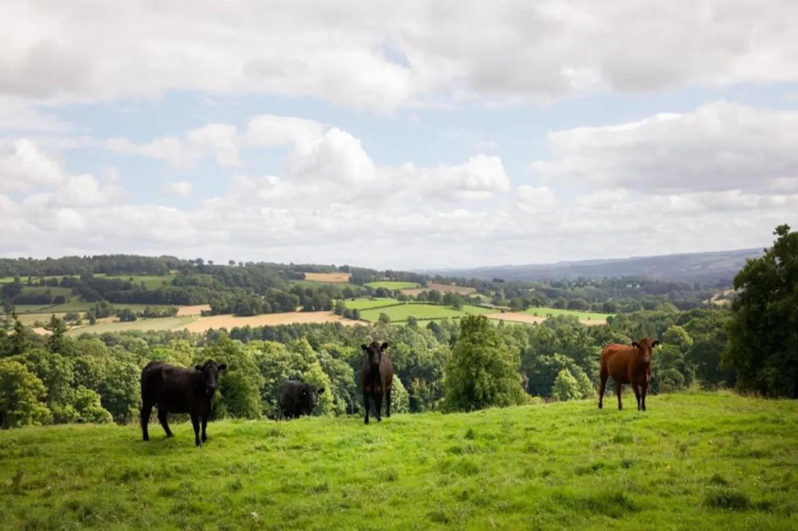 Humbleton Glamping-Zones été à 5 km