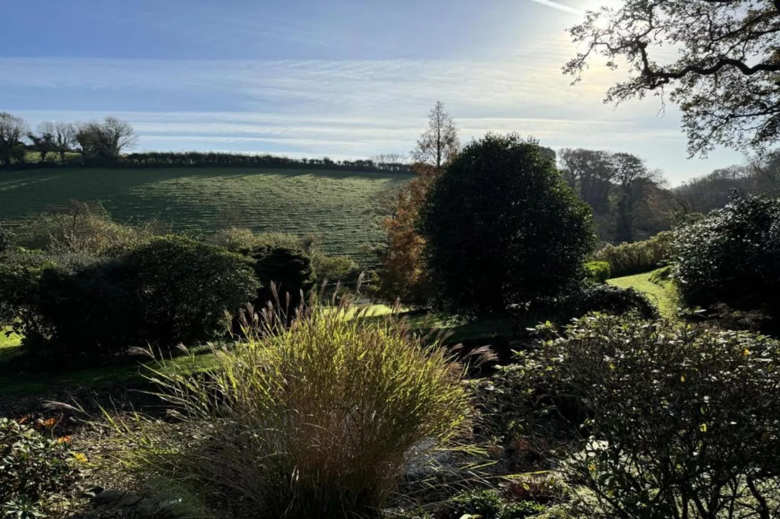 Oak Tree Lodge-Areas within 5km in summer