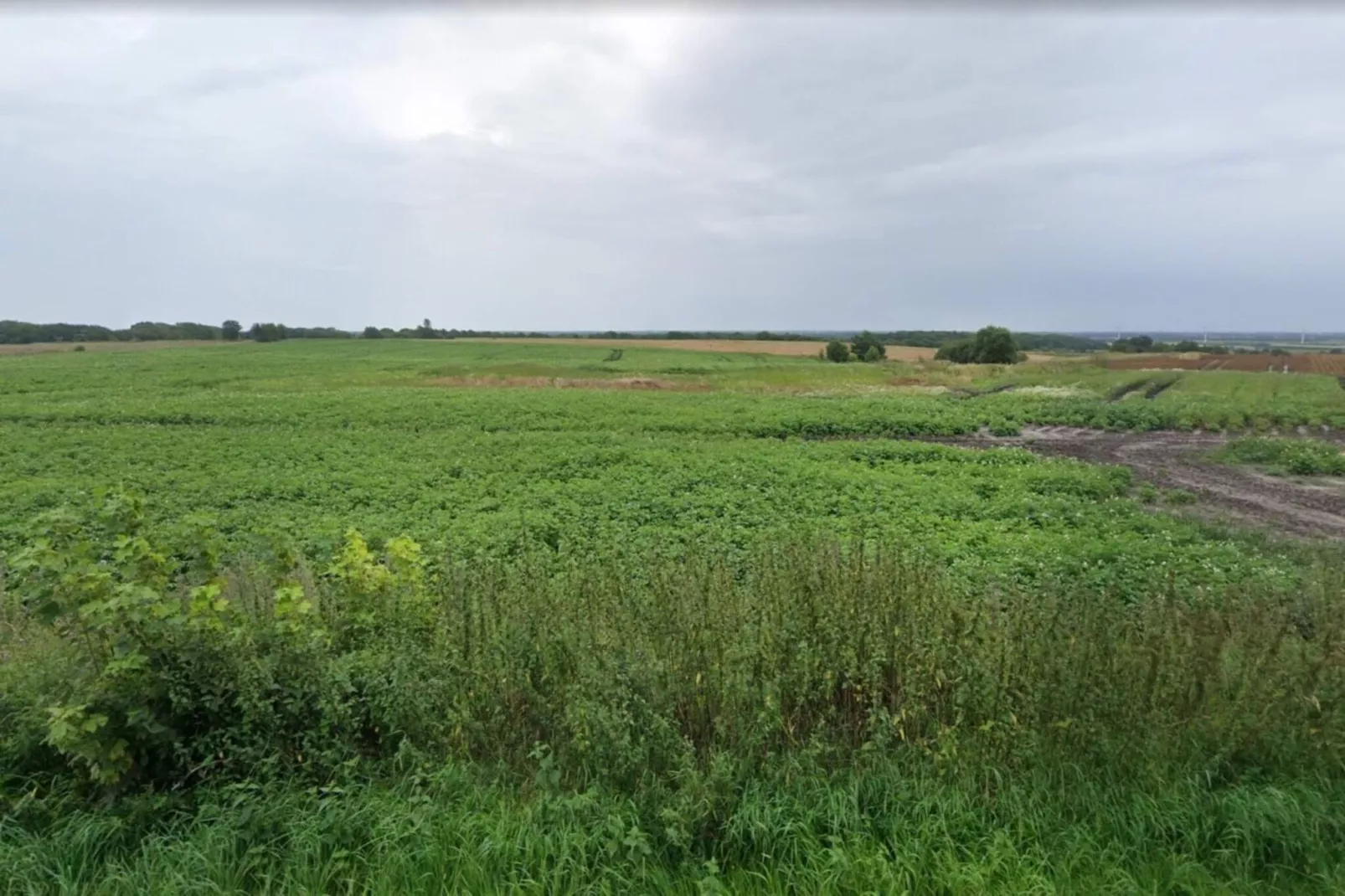 Maison de vacances pour 6 a Grenaa-Non tagué