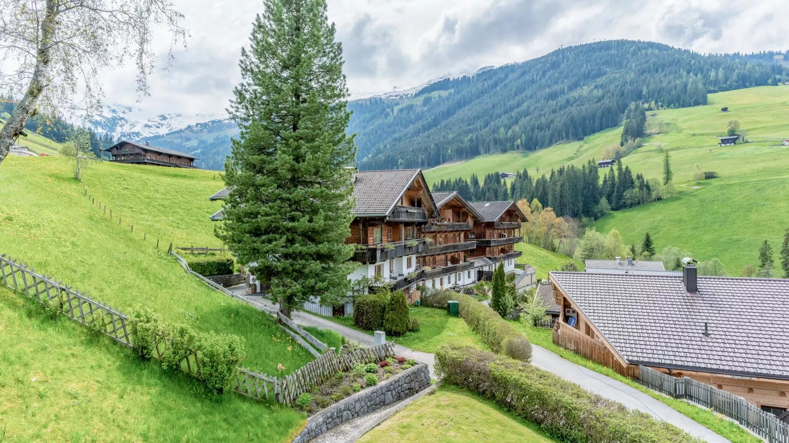 Birkheim-View summer