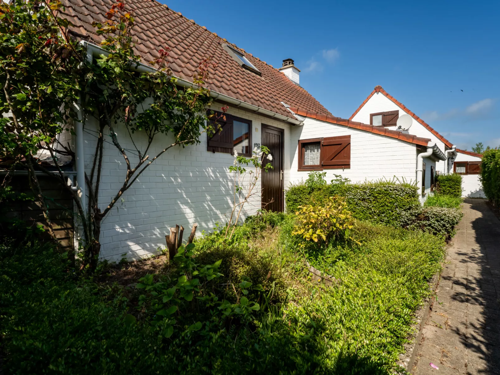 Duinenhuis 123-Dehors