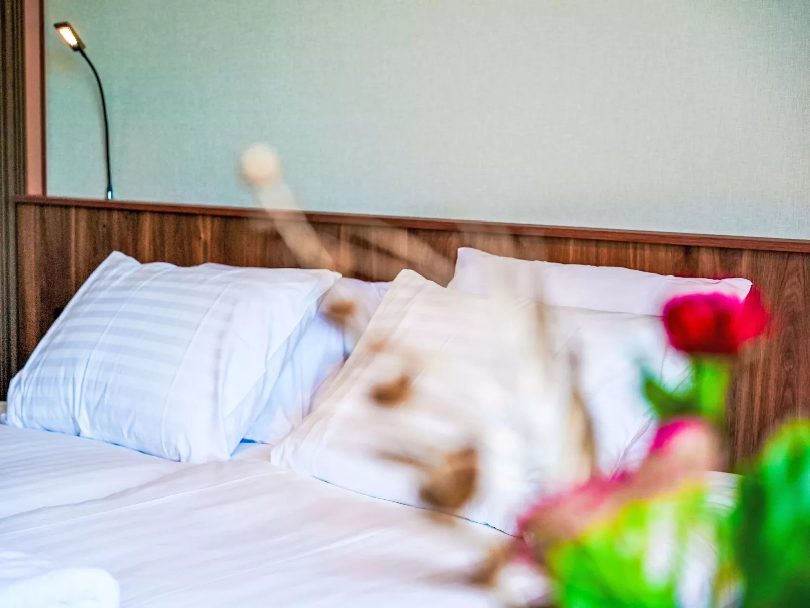 Zen Kitchen & Boutique Hotel-Dedans