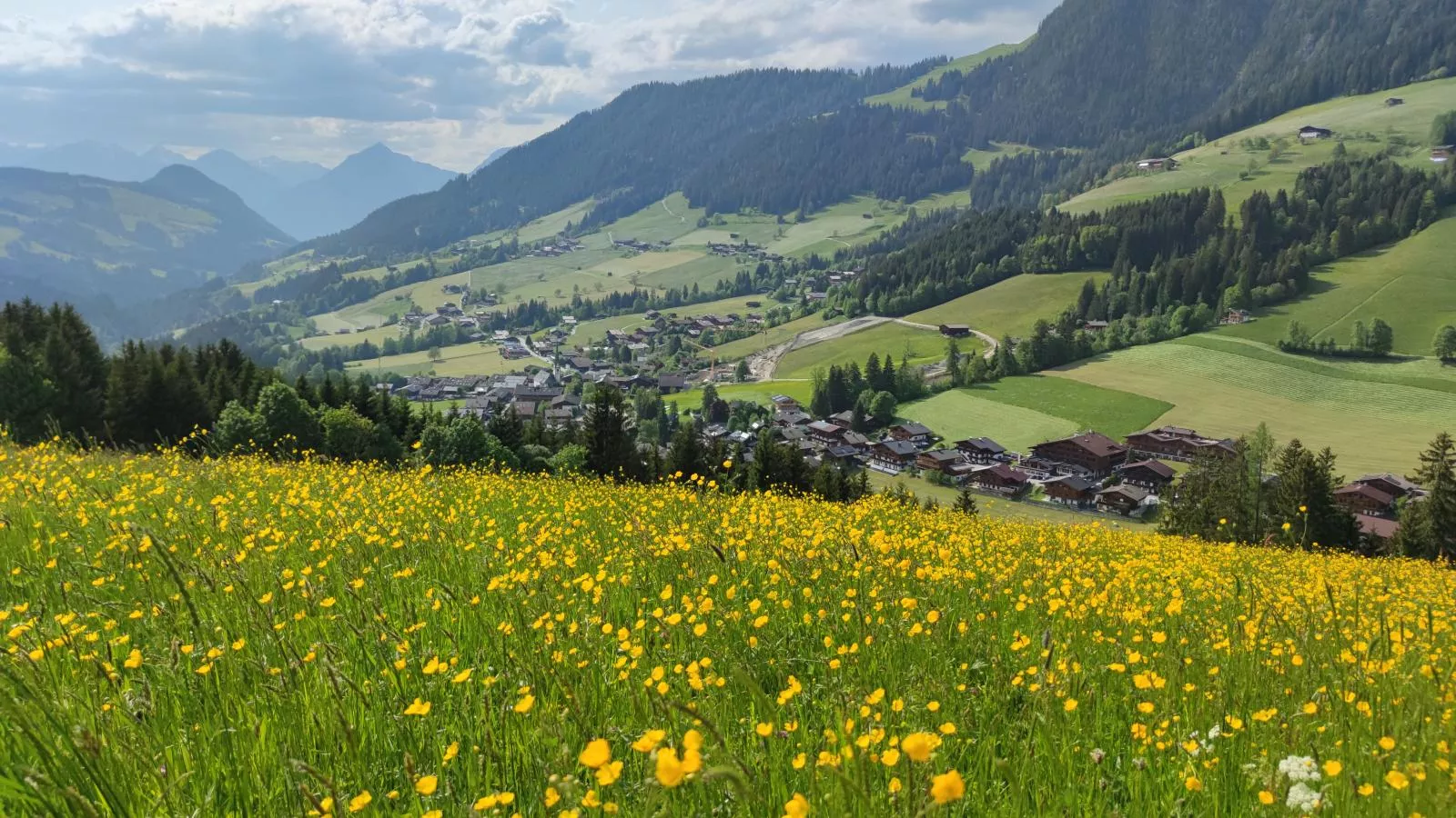 Chalet Mountain View-Vue d'été