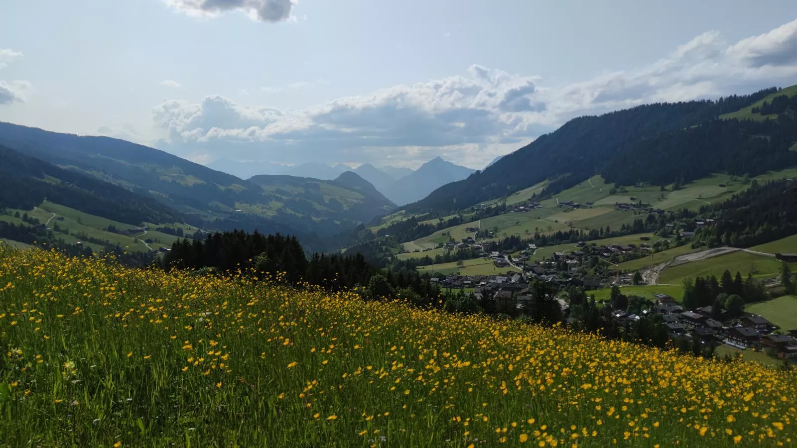 Chalet Mountain View-Vue d'été