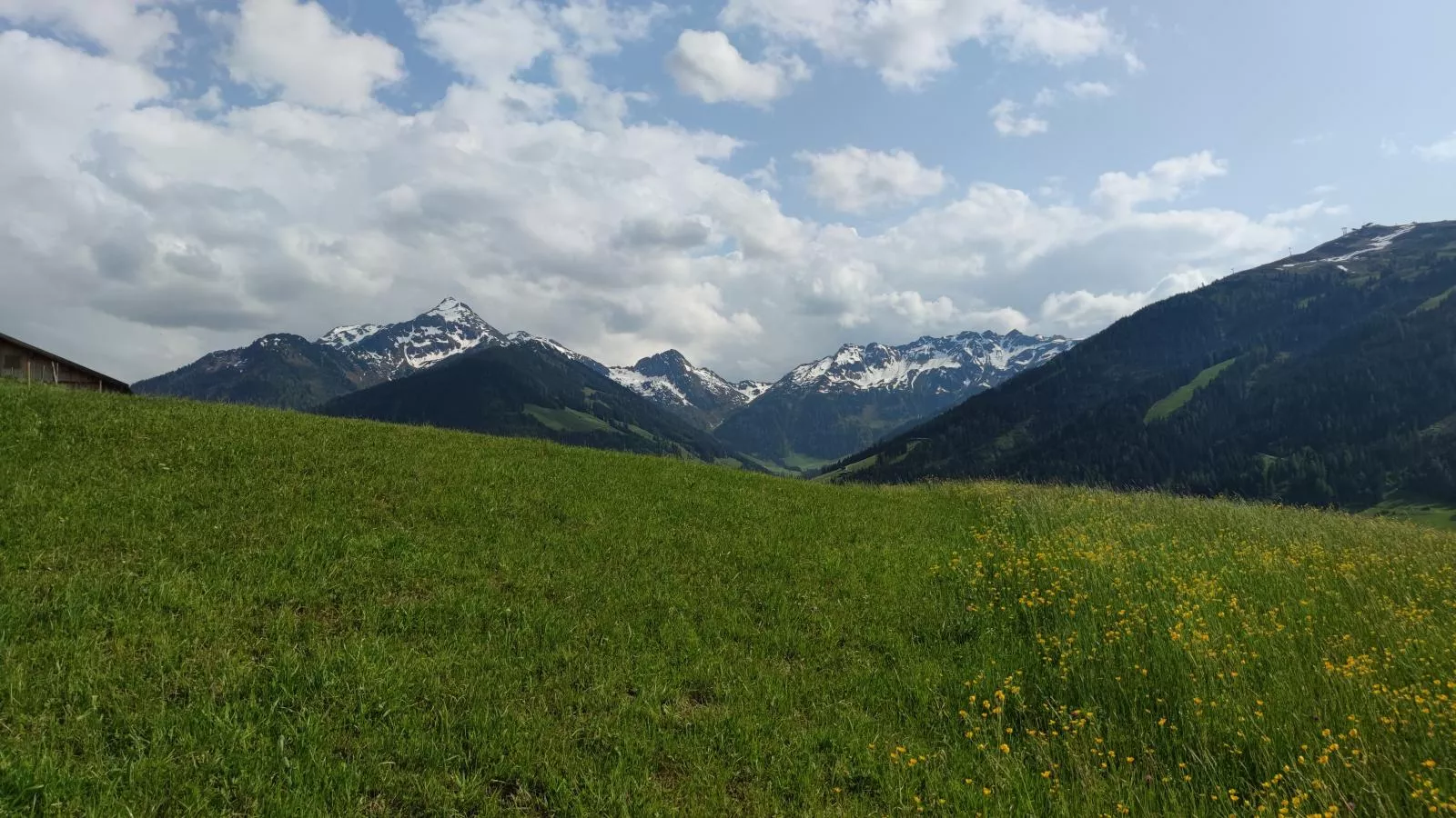 Chalet Mountain View-Vue d'été