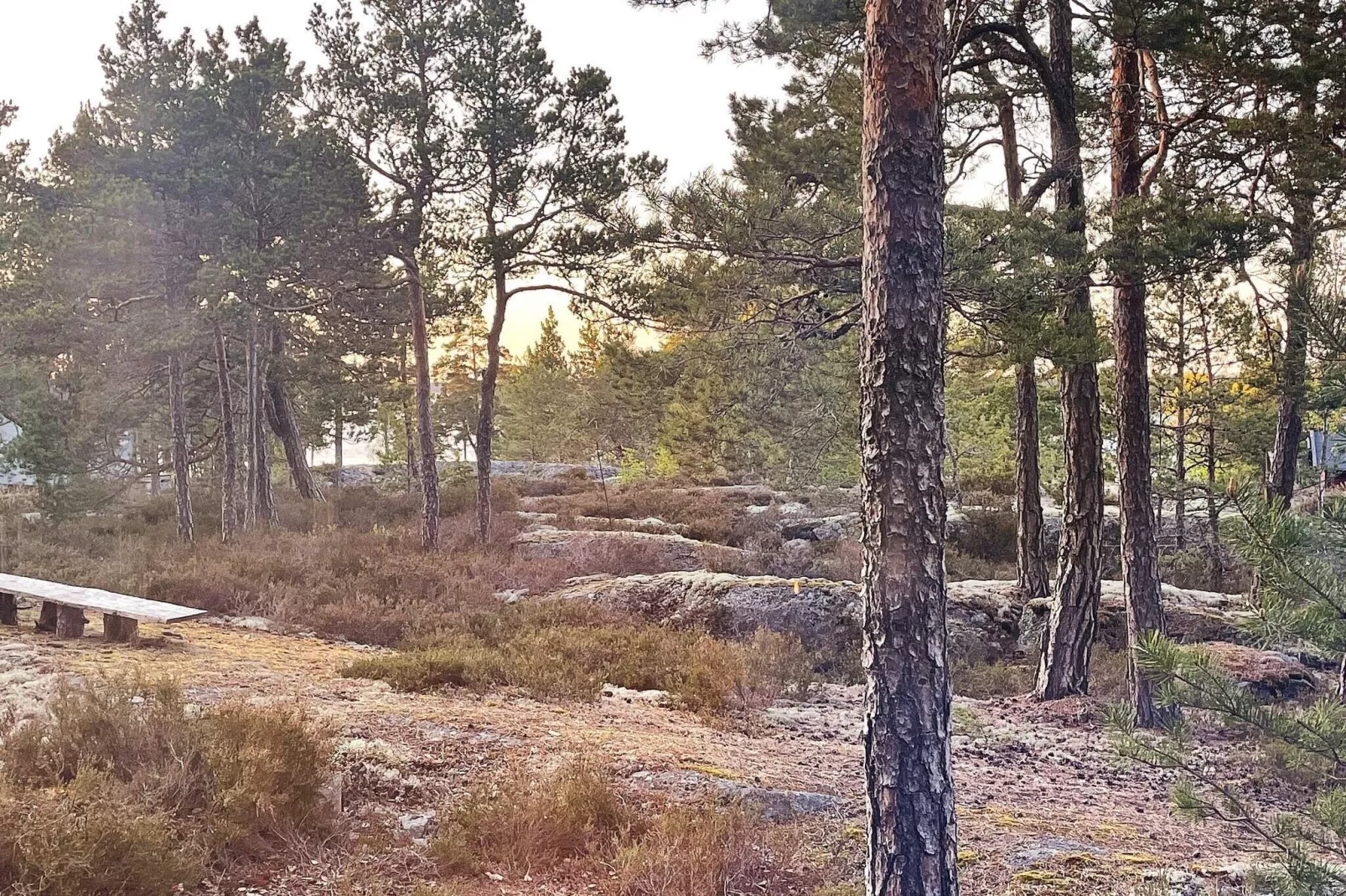 10 person holiday home in MÖJA-By Traum-Not tagged