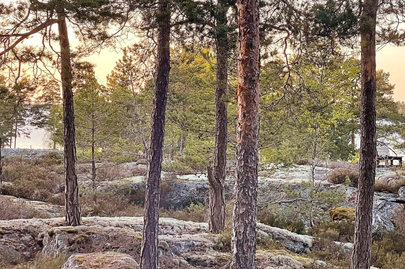 10 person holiday home in MÖJA-By Traum-Not tagged