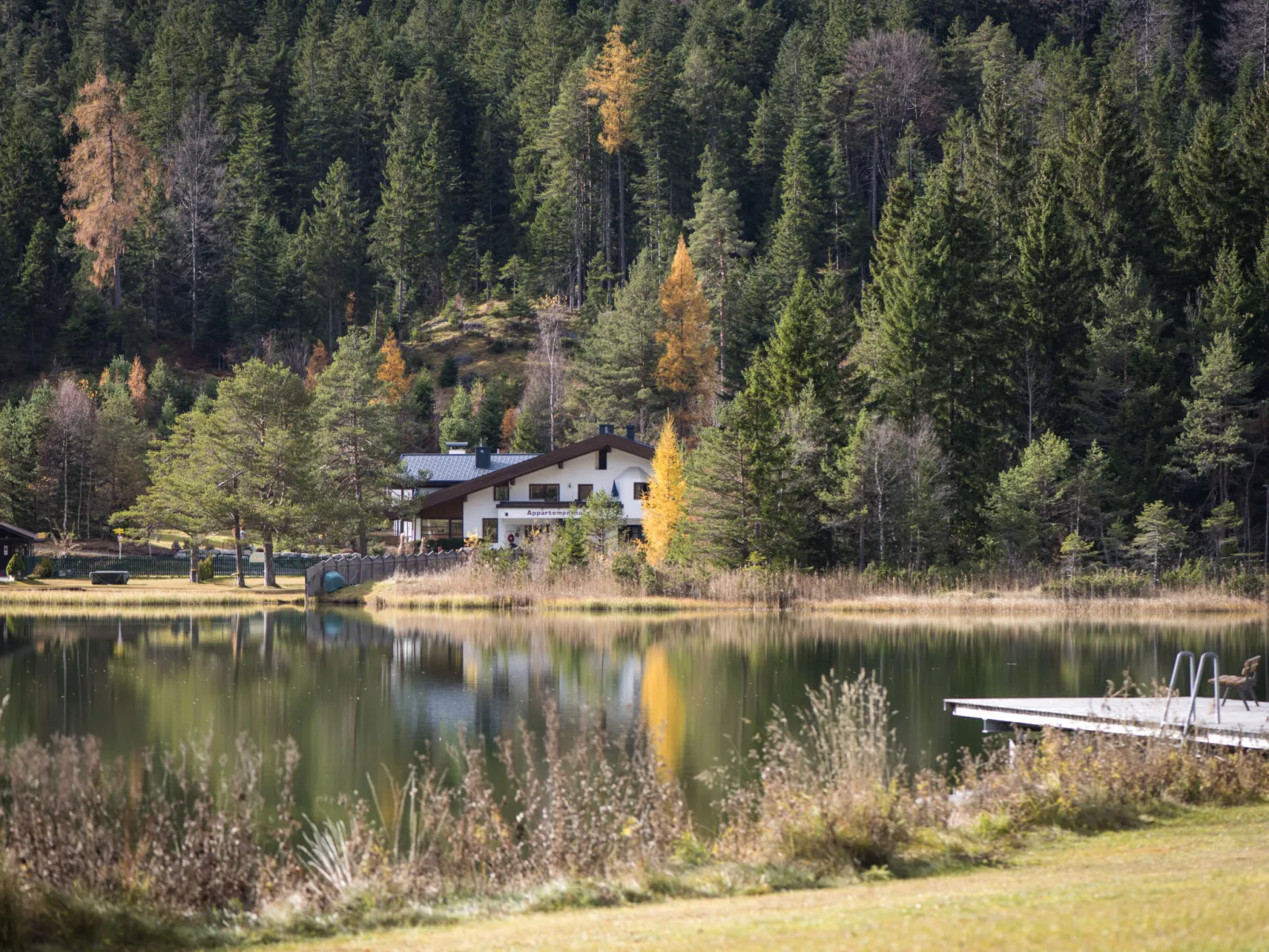 Waldblick-Outside