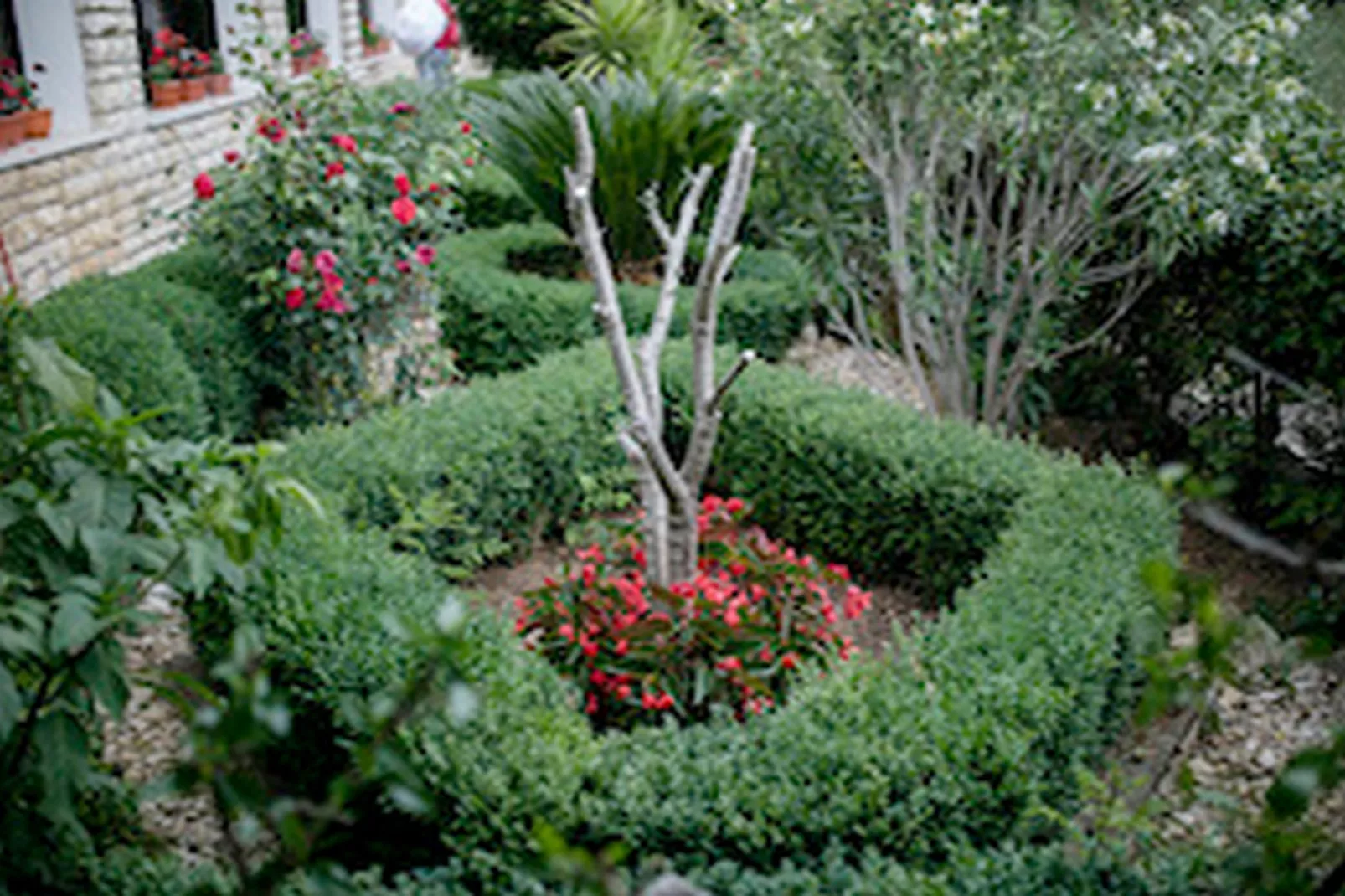 Apartments & Rooms Green Bay - One Bedroom Apartment with Terrace (APP 8)-Gardens in summer