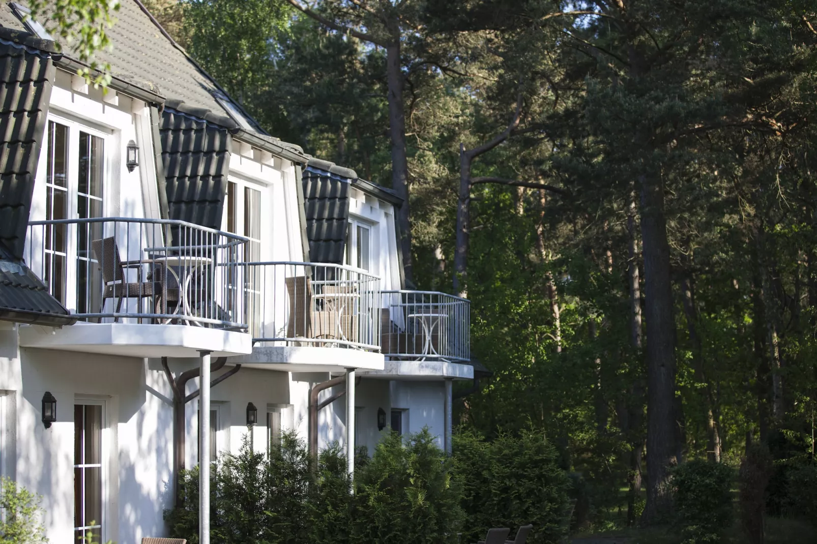 Gartenferienwohnung - Strandhotel Fischland-Außenbereich Sommer