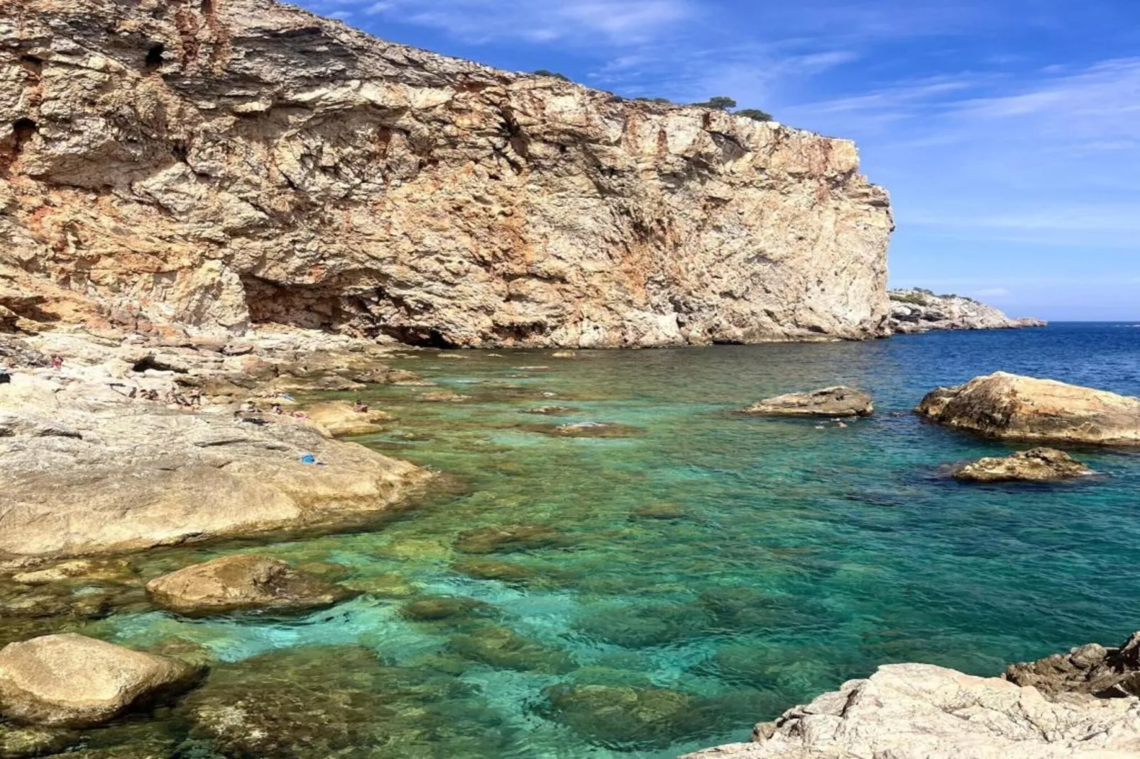 ARGONAVIS 117-Areas within 1km in summer