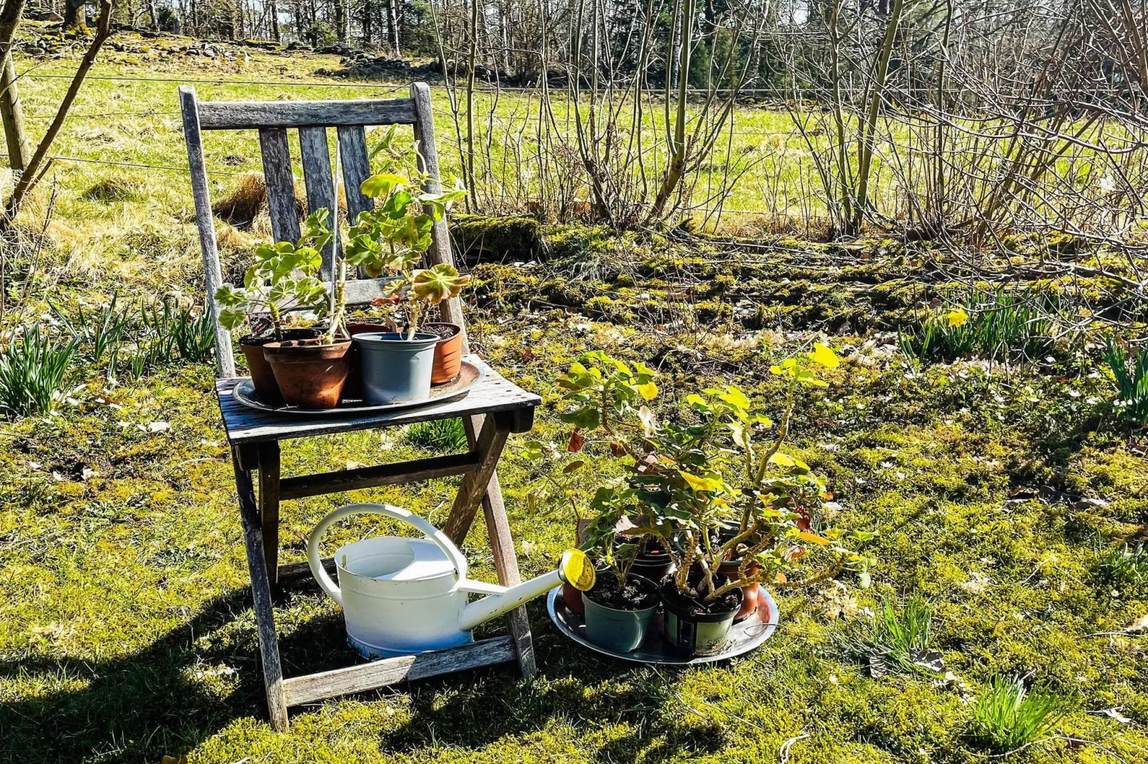 4 Sterne Ferienhaus in ISTORP-Nicht zugeordnet