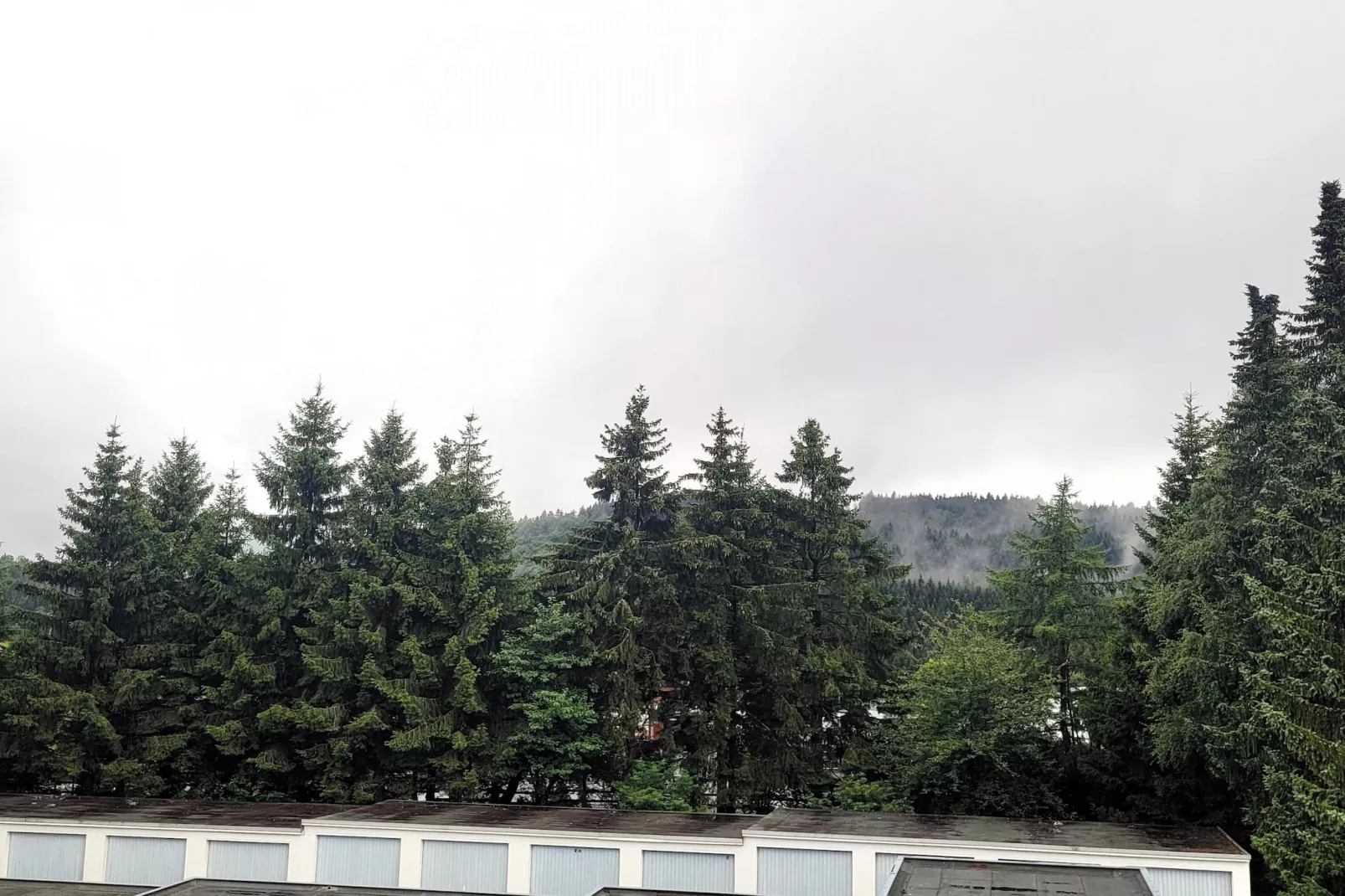 2SZ/4P- Winterberg Appartement 21028