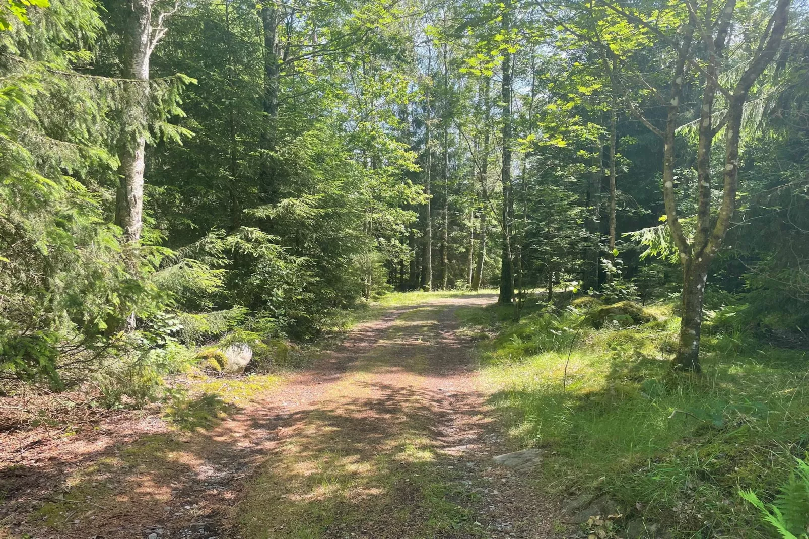 Abgeschiedener Aufenthalt im Wald mit Nebengebäude-Im Freien
