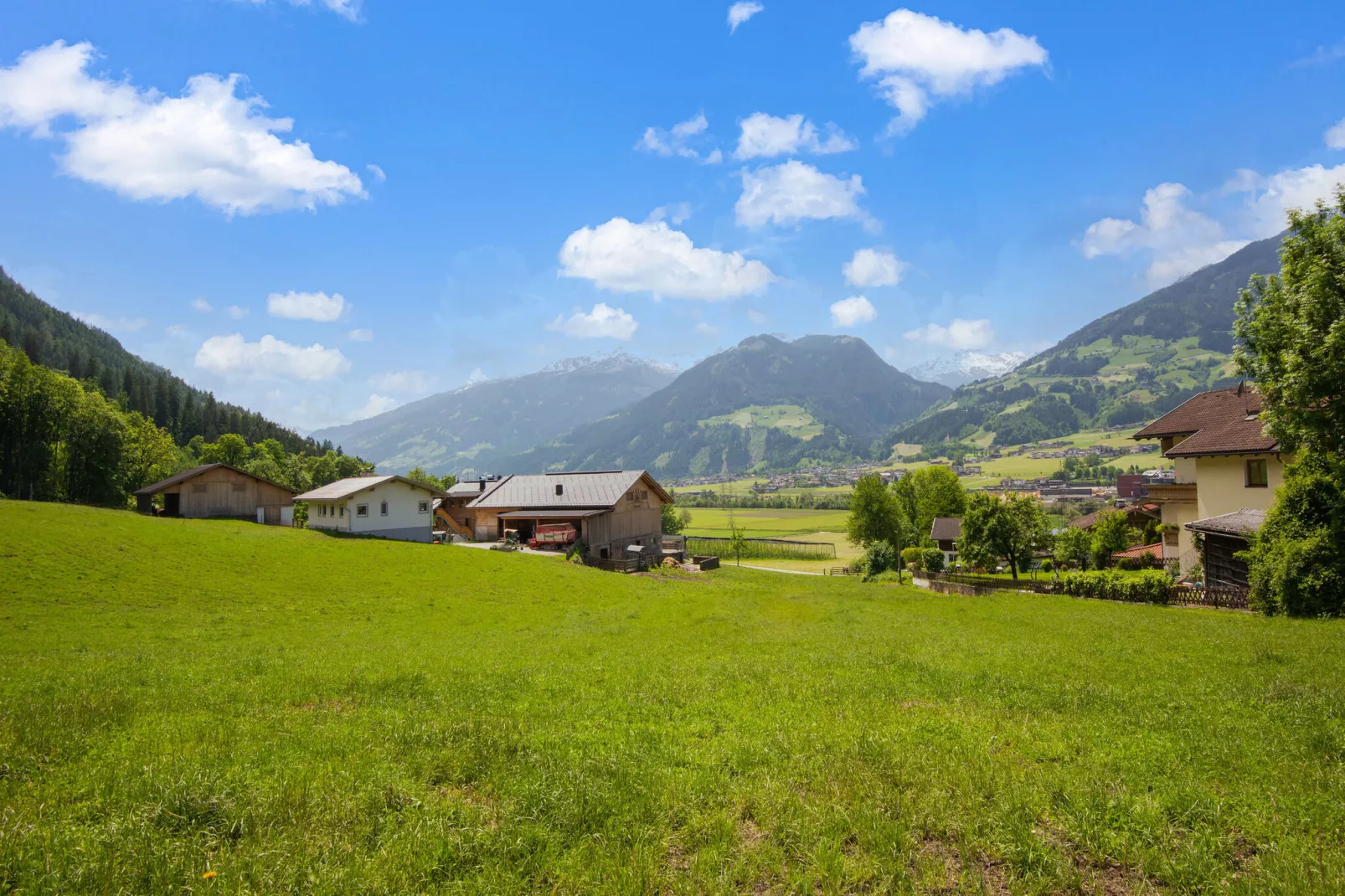 Appart Mount Gilfert View-Areas summer 1km