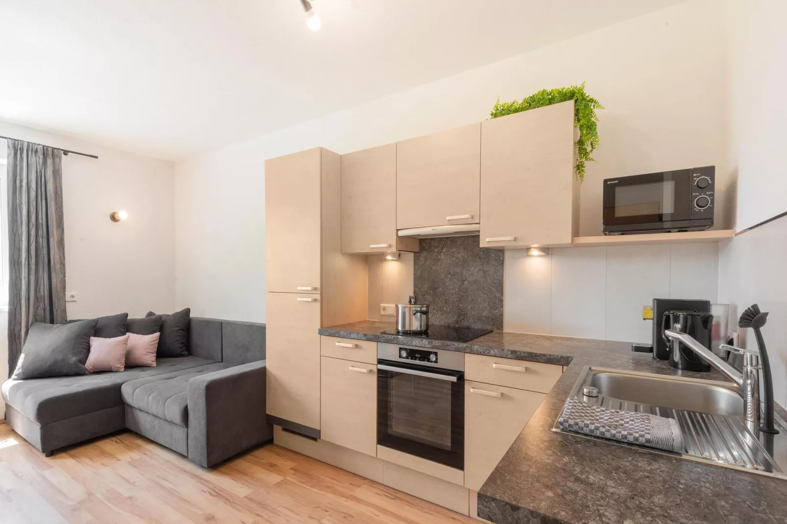 Appart Mount Gilfert View-Kitchen