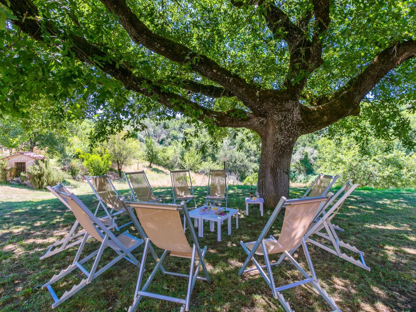 Podere San Giuseppe-Dehors