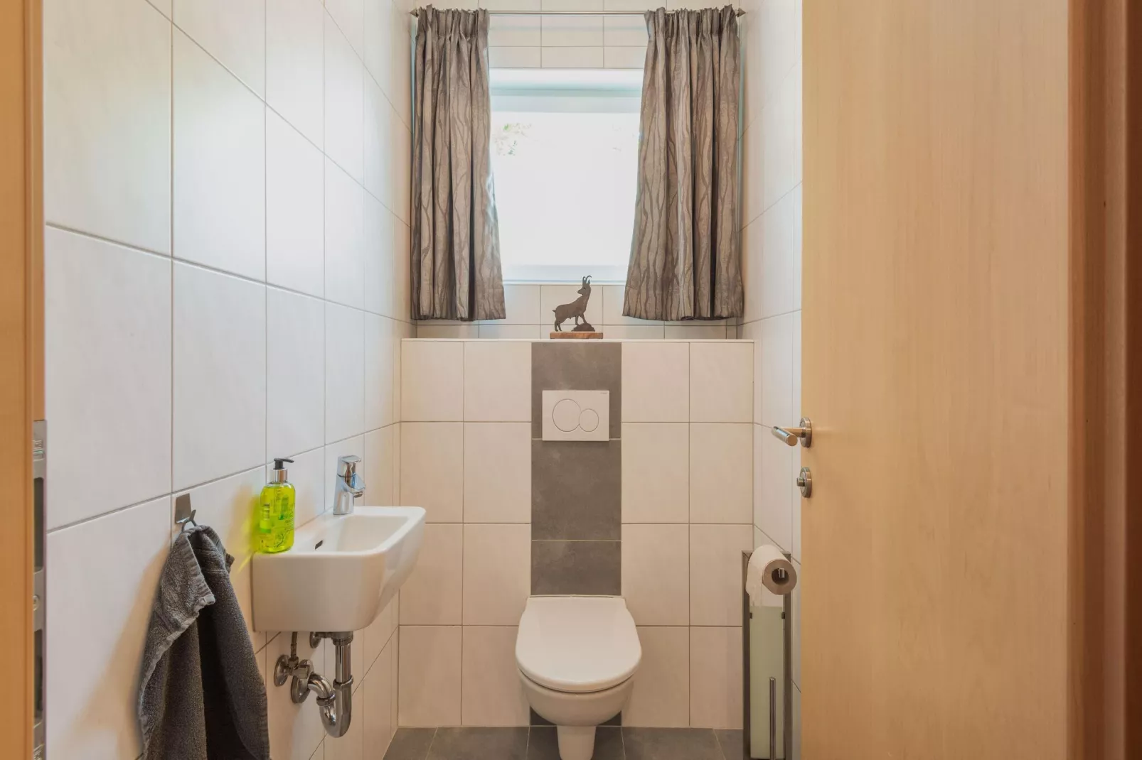 Appart Mount Gilfert View-Bathroom
