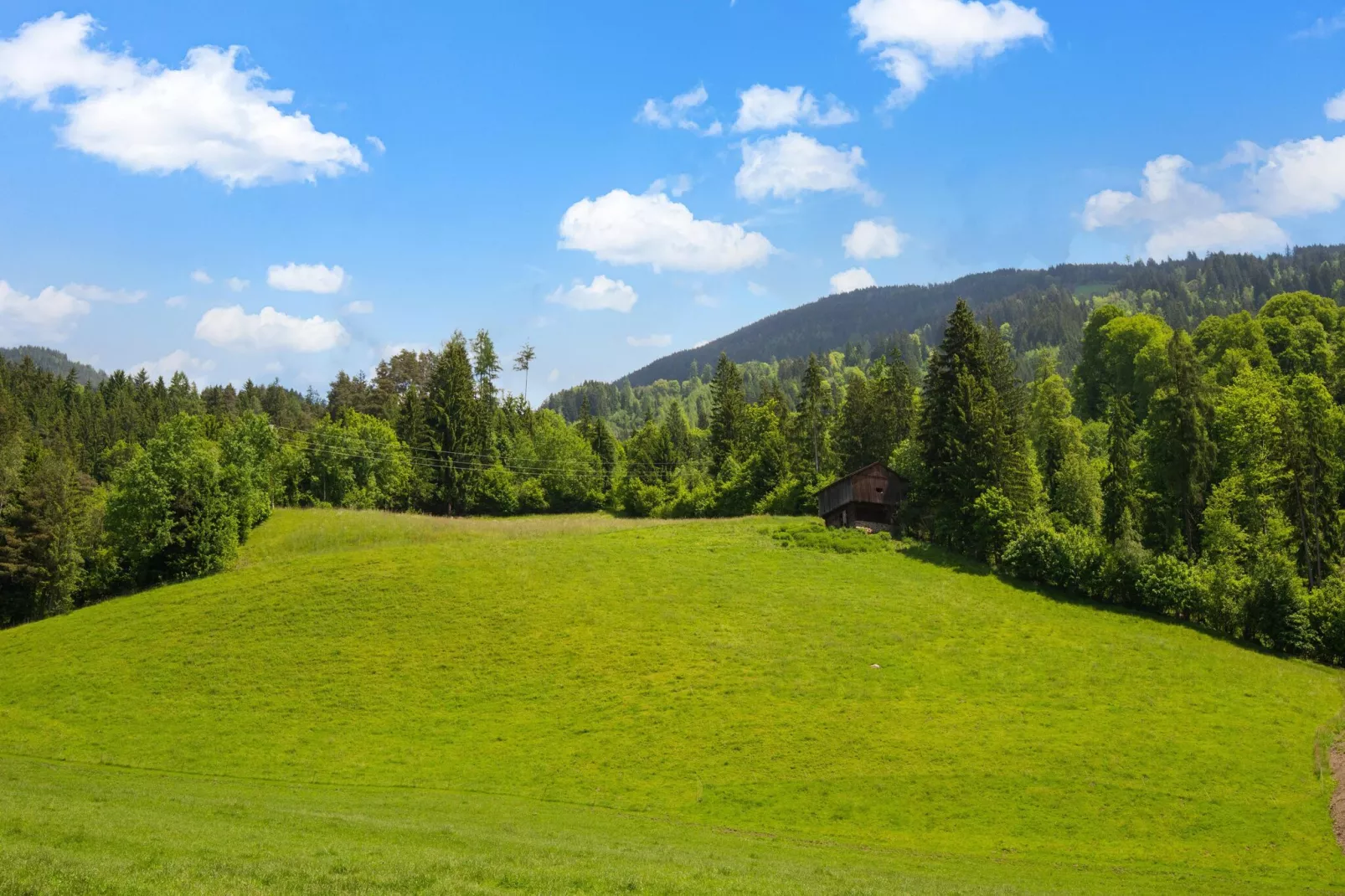 Appart Mount Gilfert View-View summer