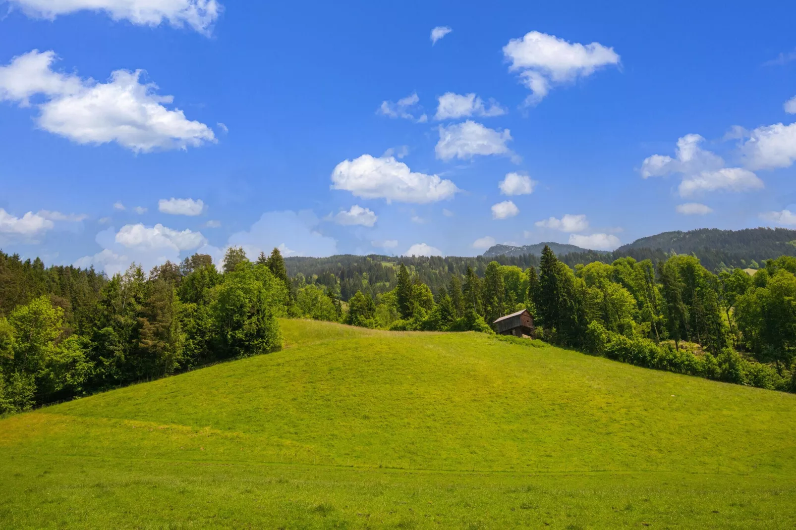 Appart Mount Gilfert View-View summer